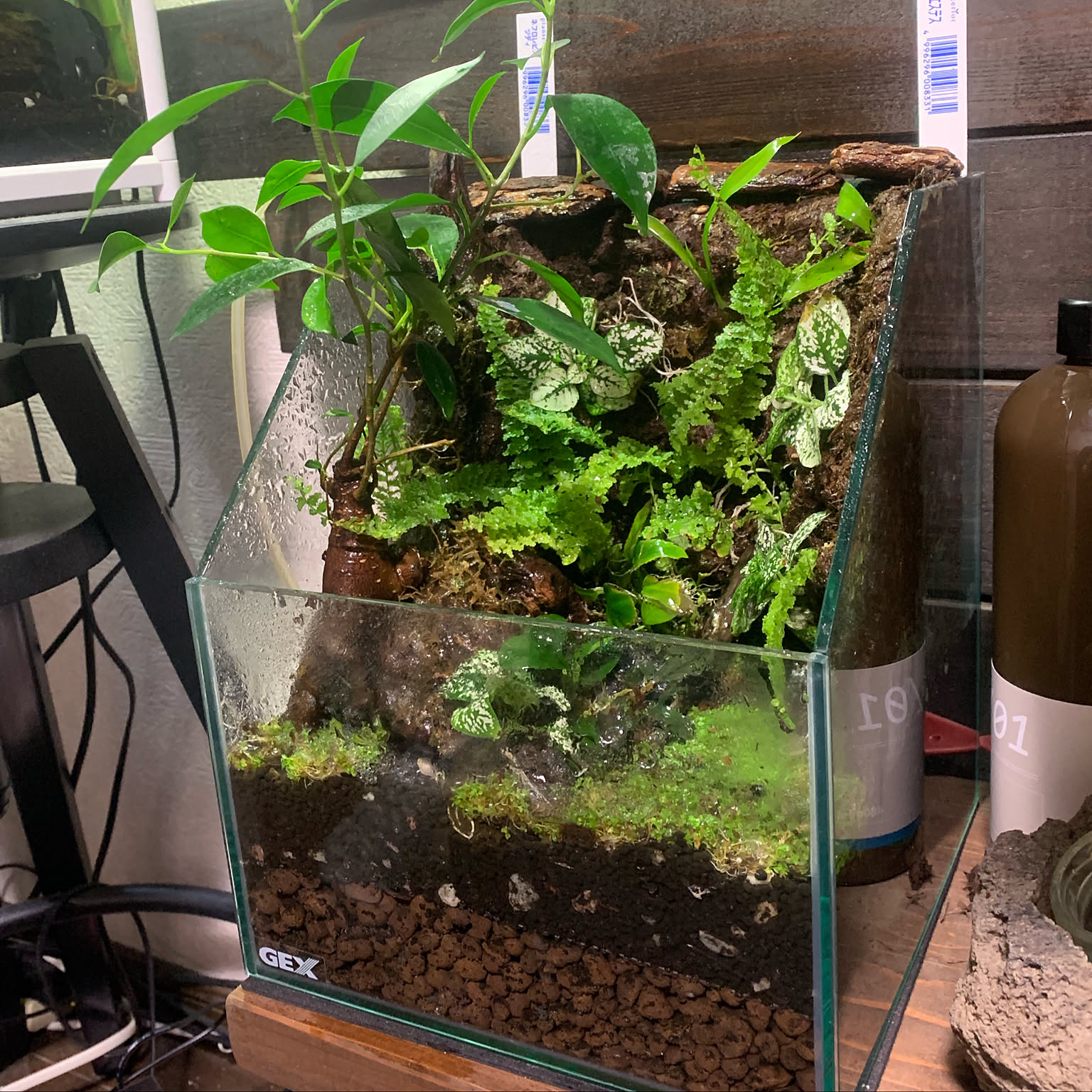 パルダリウム 水草と付属品