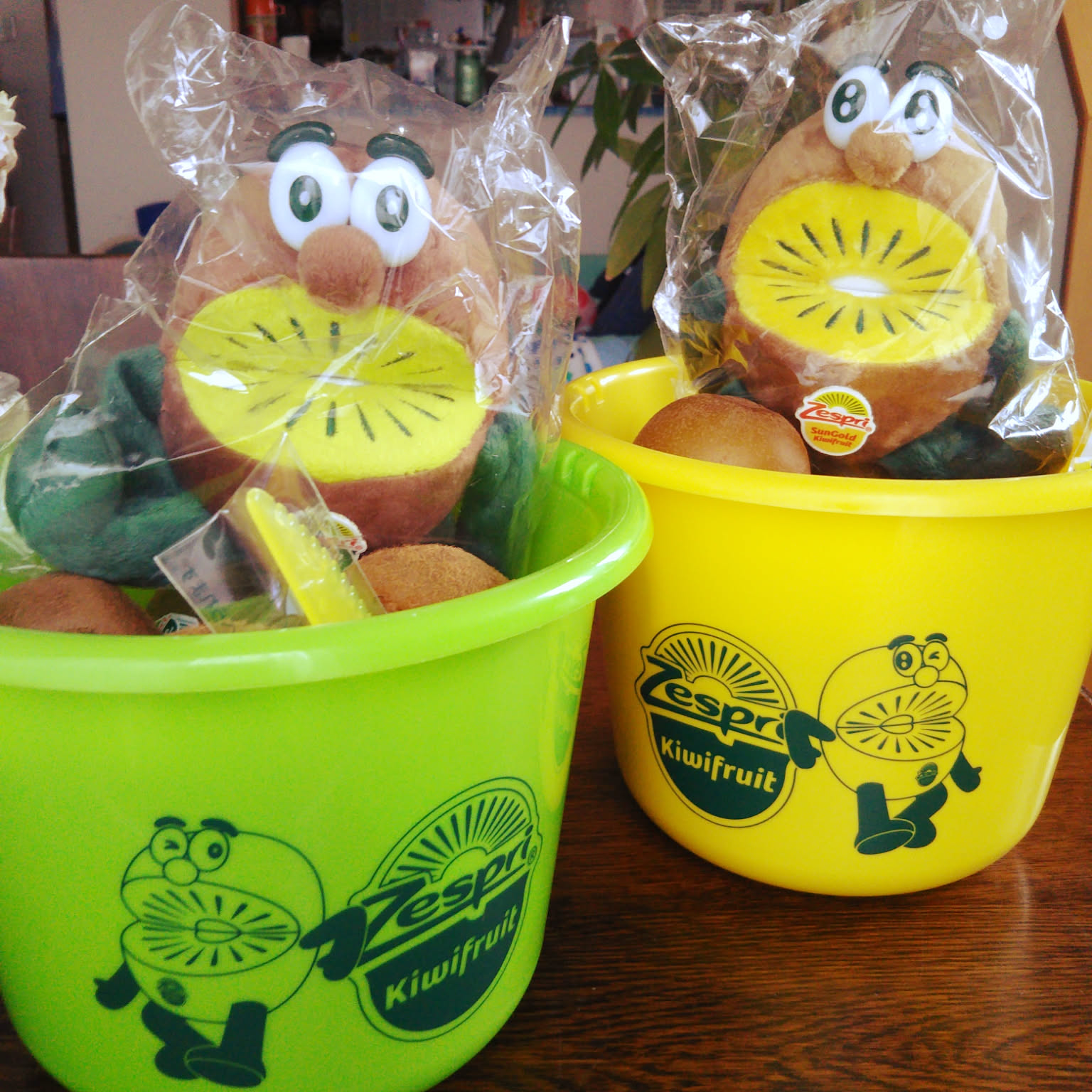 42af341302da43c231d9aa80fdd9db