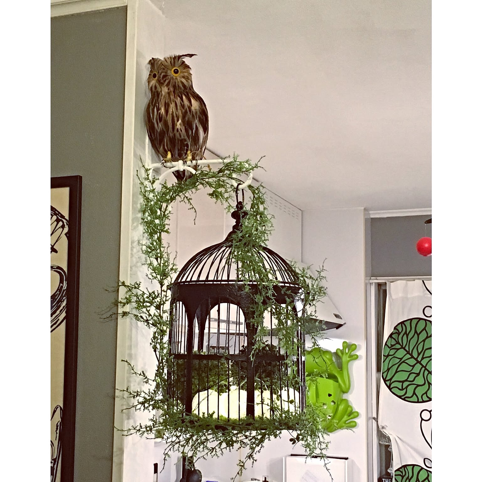 鳥かごリメイクのおすすめ商品とおしゃれな実例 ｜ RoomClip（ルーム