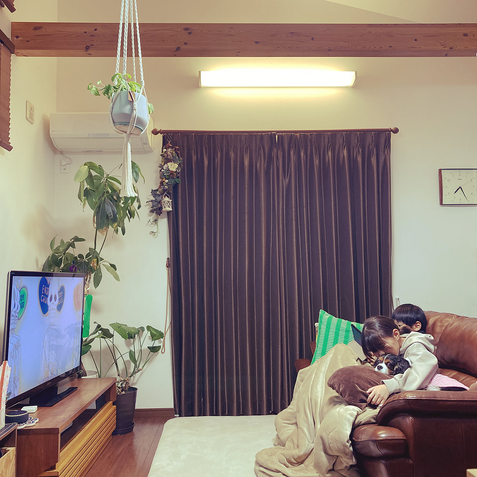 テレビボード 葉山ガーデンのおすすめ商品とおしゃれな実例 テレビボード 葉山ガーデンのおすすめ商品とおしゃれな実例