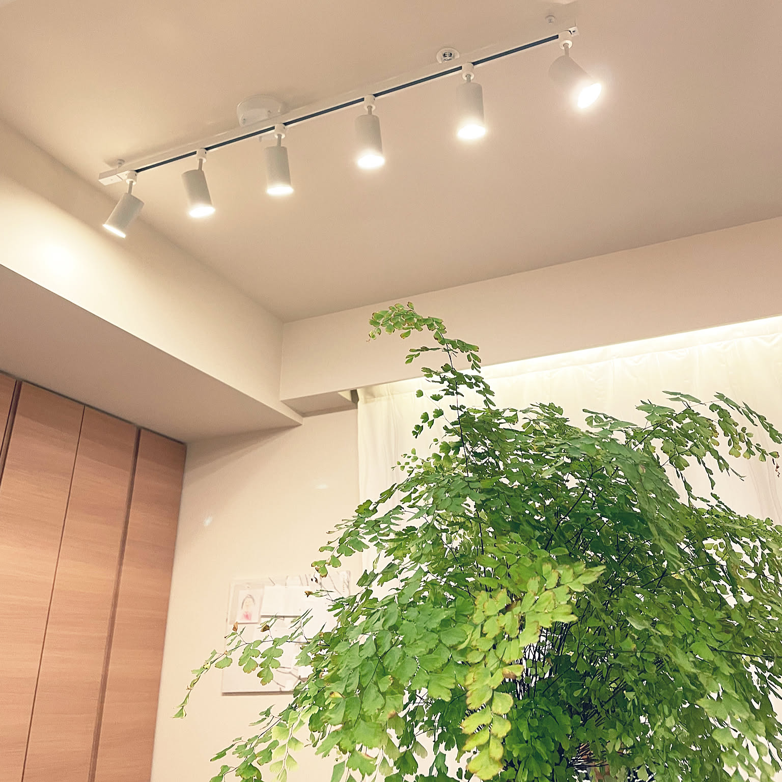 無印良品 蛍光灯スポットライトセット ホワイト MUJI MUJI システム