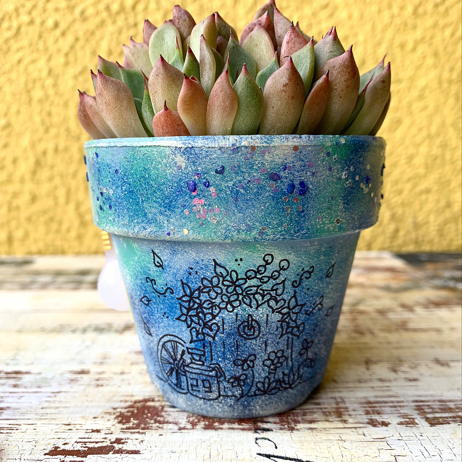 2019.09.22 ☀️/秘密の扉鉢/ozcoさん 大好き/作家さんの鉢/多肉植物