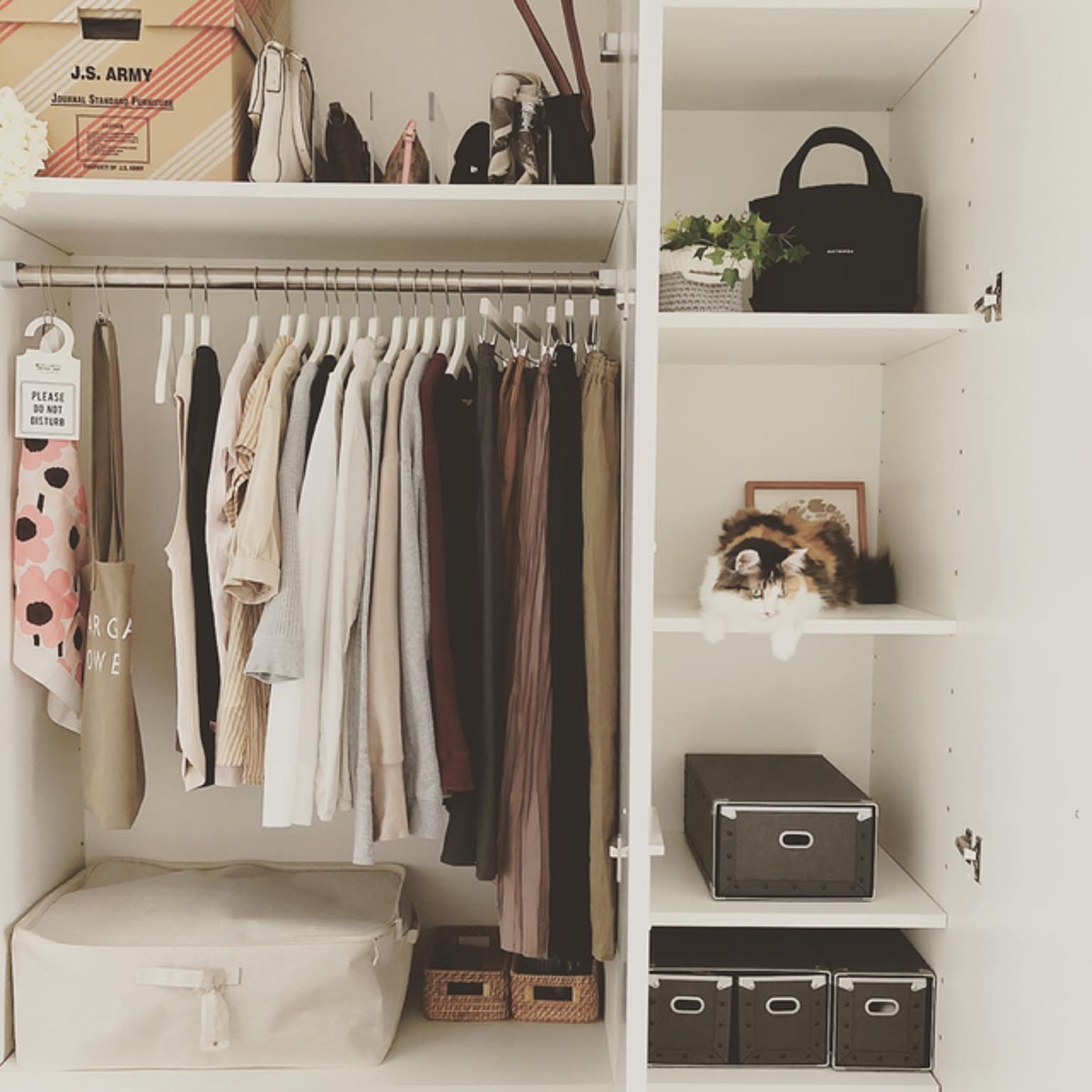 IKEA 硬質パルプボックスのインテリア実例 ｜ RoomClip（ルーム