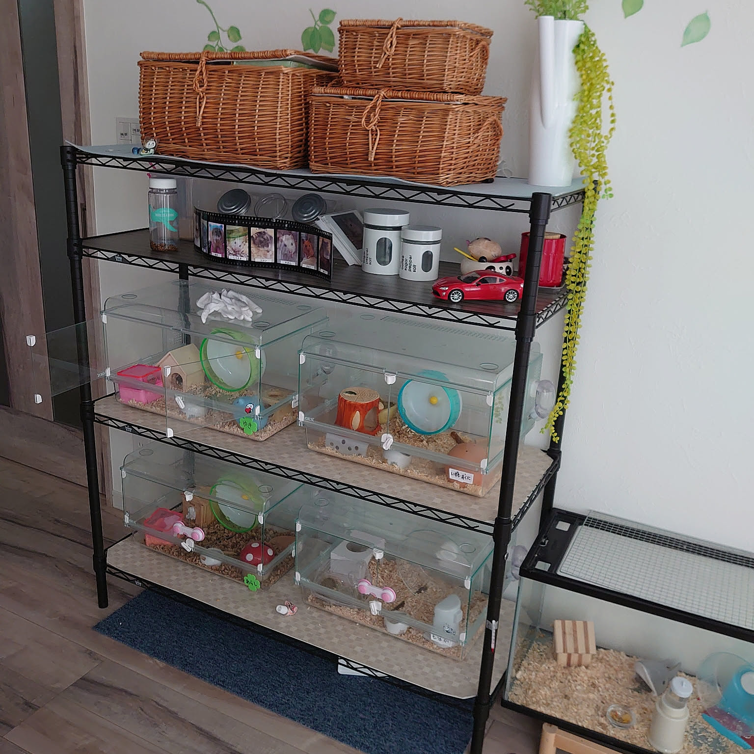 45403f660bbefe953f5823526f674e