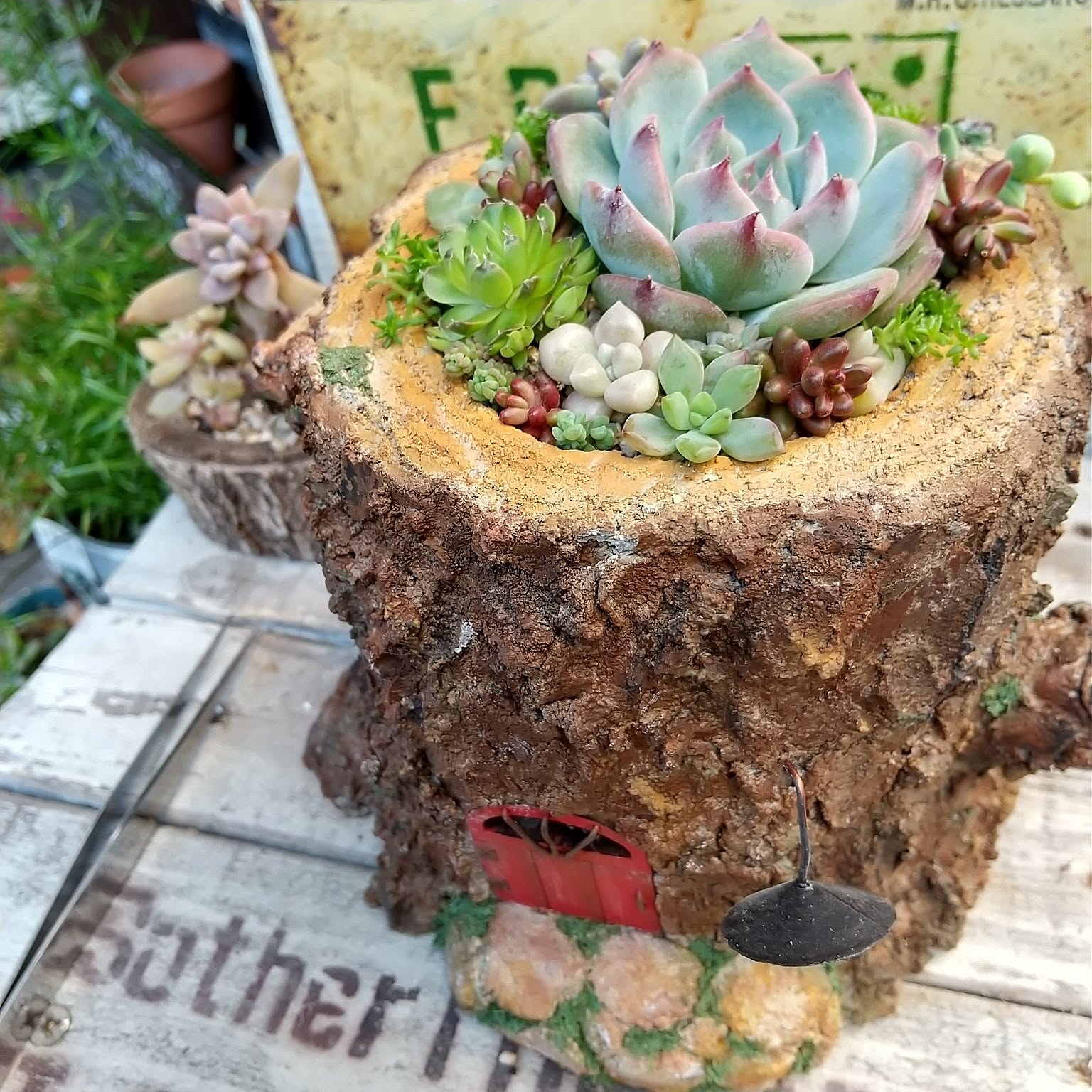 切り株プランターのおすすめ商品とおしゃれな実例 ｜ RoomClip（ルーム