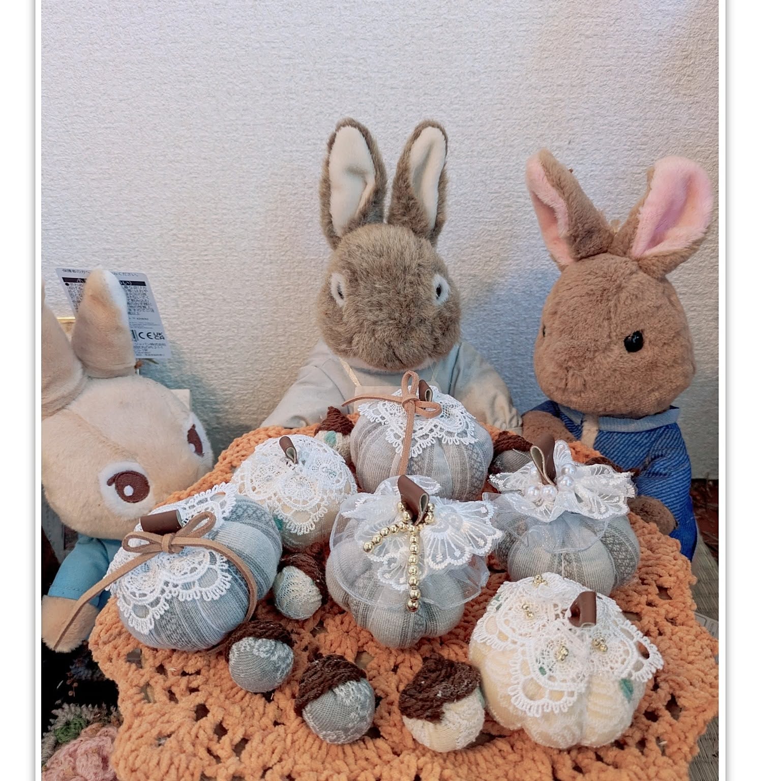 ピーターラビットのベット ピーターラビット ペット用ベッドが登場 | ピーターラビット