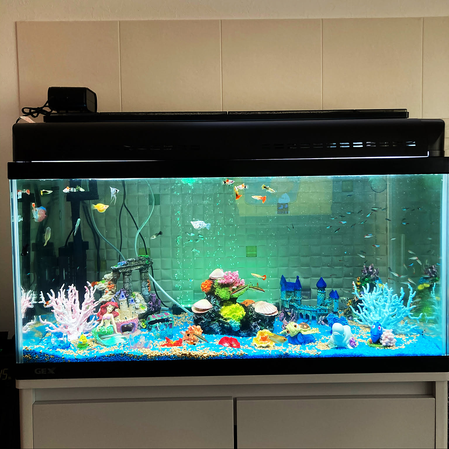 【激レア】ファインディングニモ アクアリウム水槽型オルゴール ディズニー 激レア】ファインディングニモ アクアリウム水槽型オルゴール