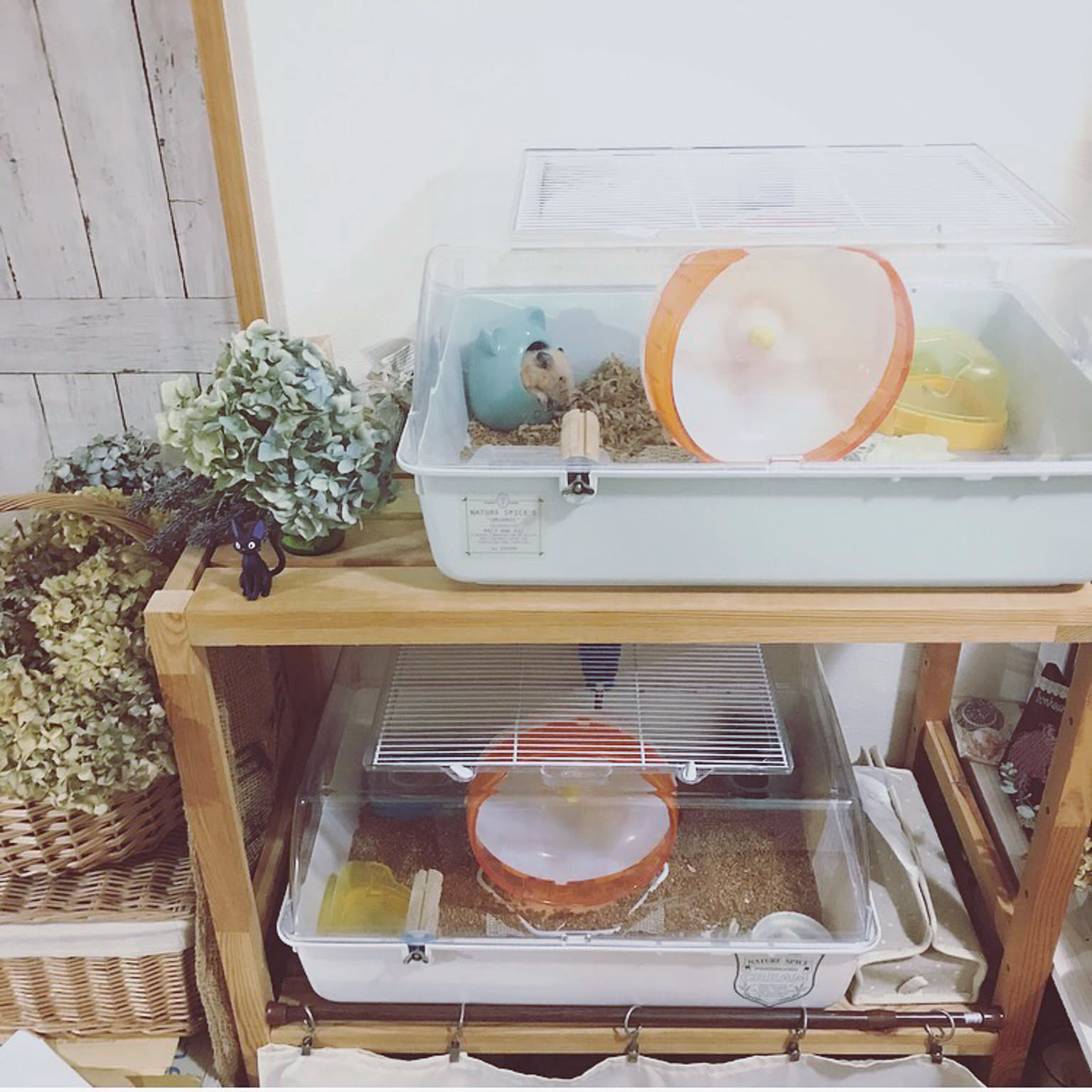 ハムスター (インテリア) 462fb598ed351d65db363c8f204648