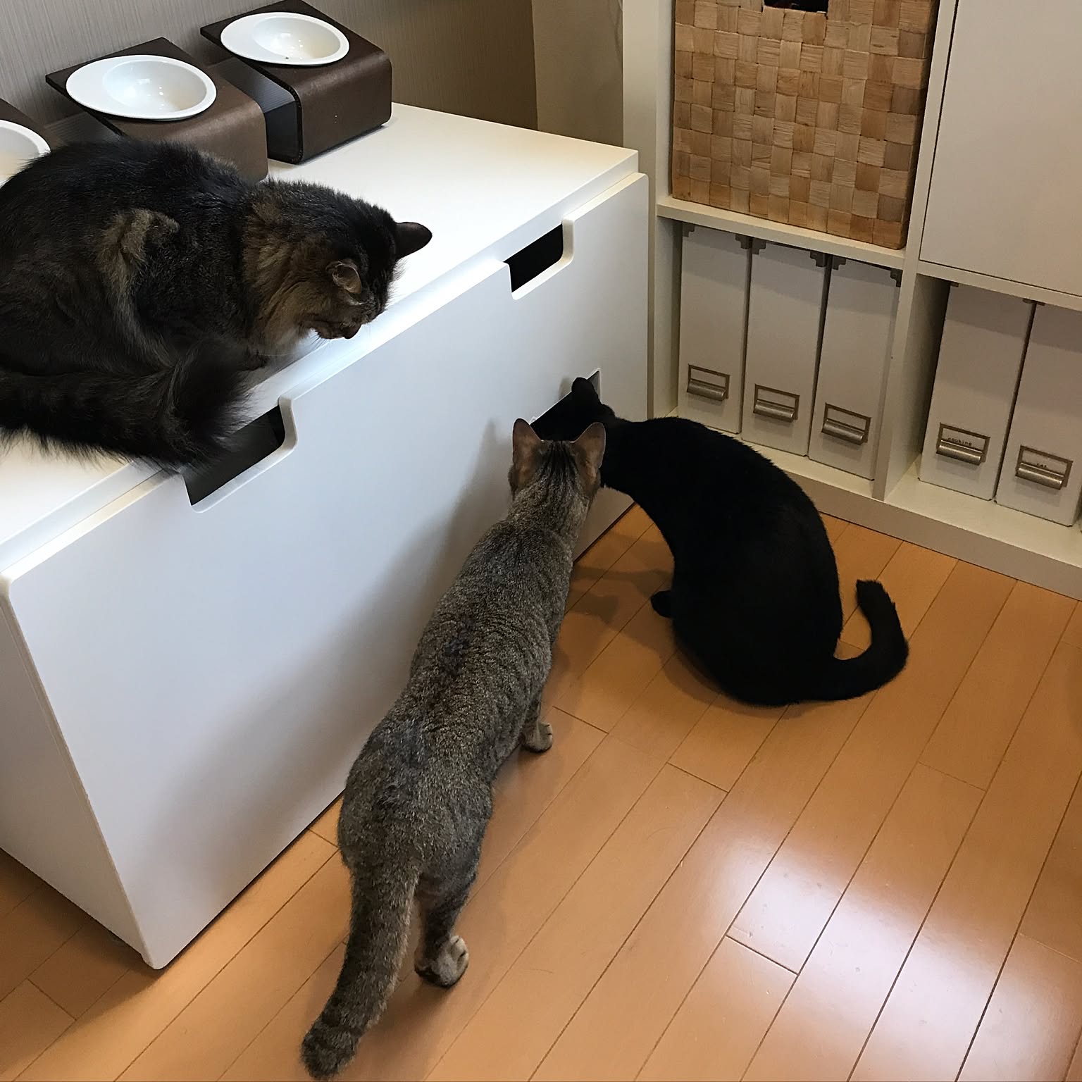 猫 ベンチ 猫ハウス PET BENCH Sサイズ（ペットベンチ S 猫