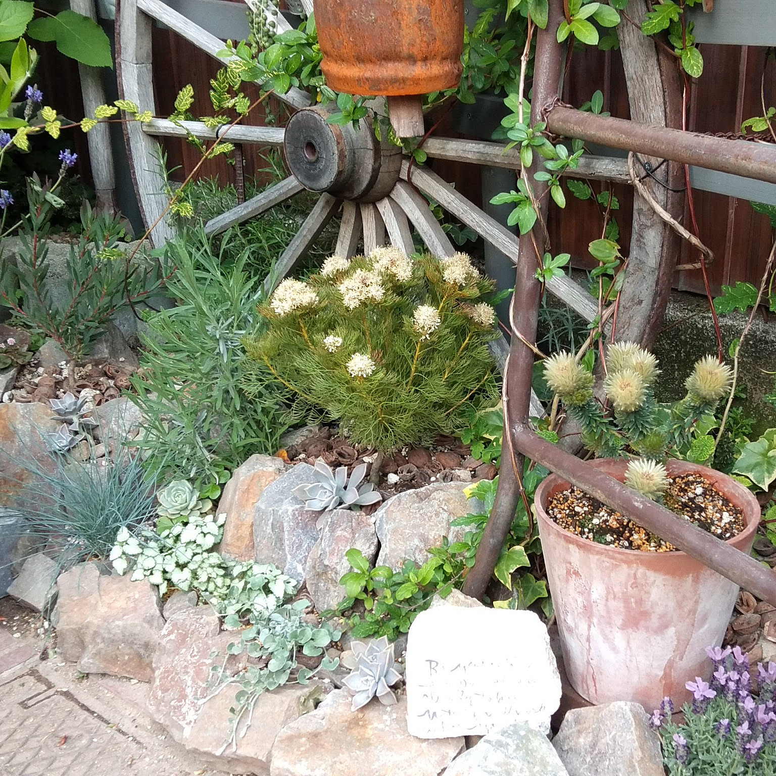 4689bb4cf4c30c004418ff557b3b17