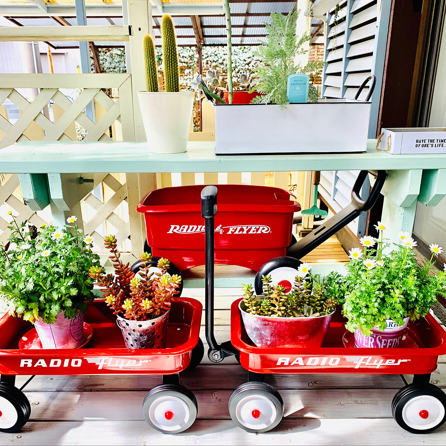 ラジオフライヤー　コストコ 子どもに大人気】コストコのラジオフライヤーに新作が登場！価格や