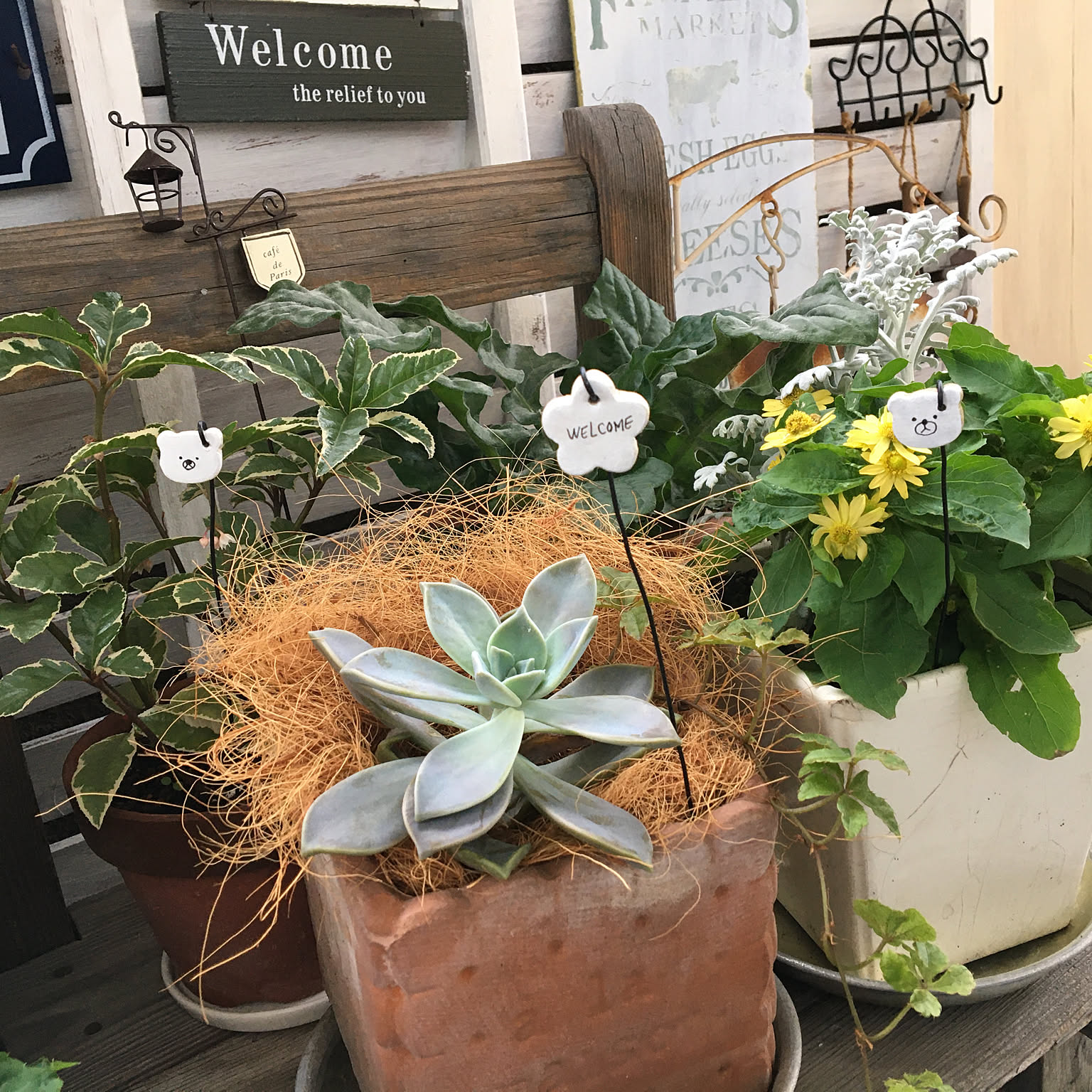 デコパージュ ꔛꕤ リメイク缶 SUCCULENTS＊鉢カバー＊小物入れ
