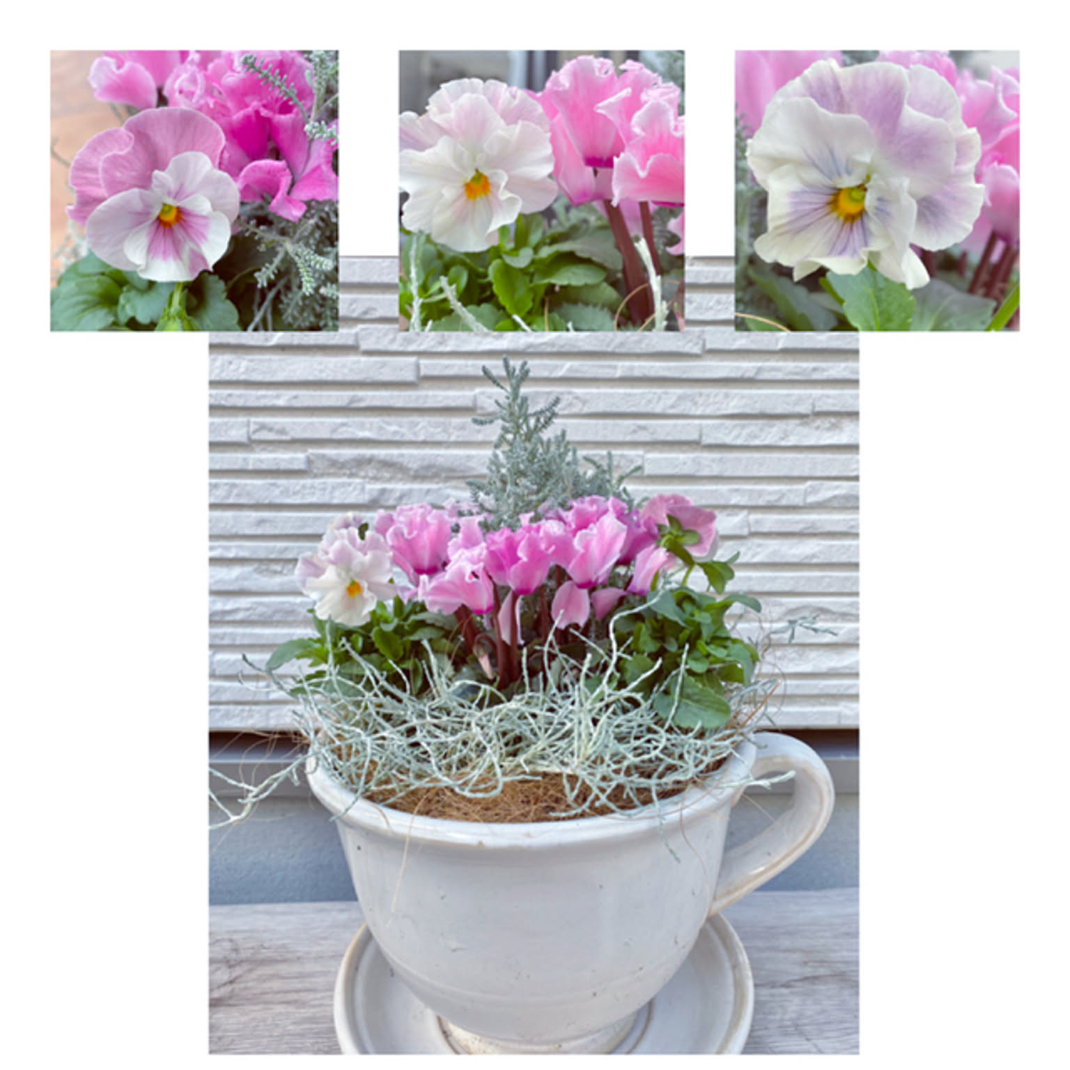 46fcb1024dd1fbc141eb7d2a5cbd8c