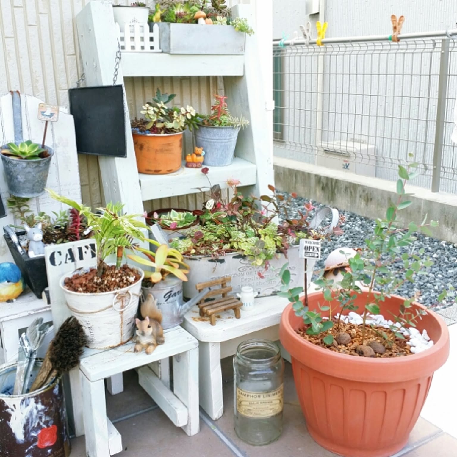 フレンチシック 多肉植物寄せ植えのおすすめ商品とおしゃれな実例