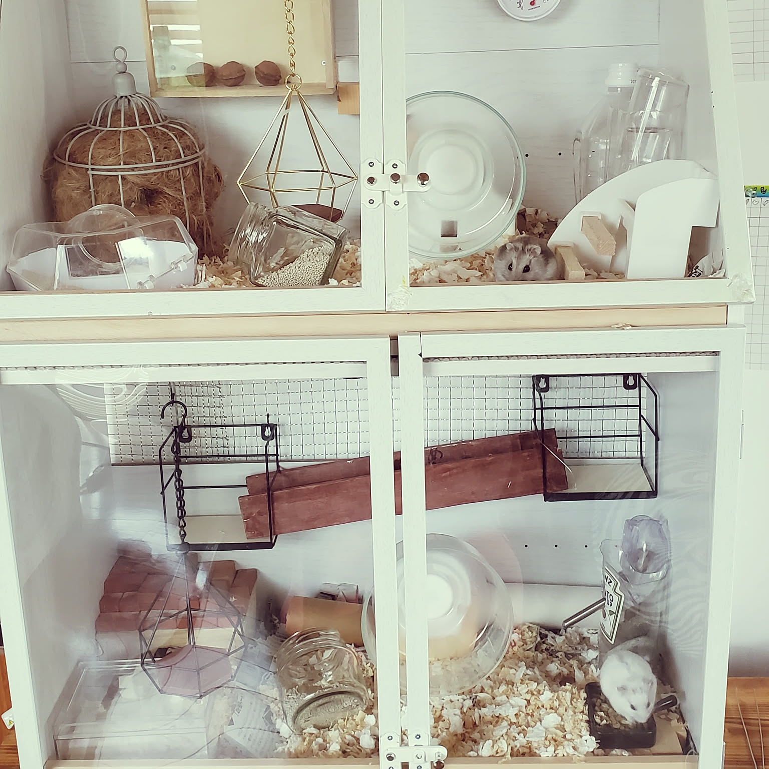 475c00f894510a7c0274db58188bd9