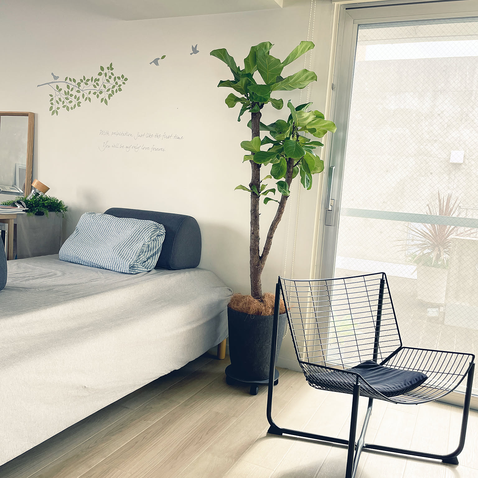 IKEA スコールボダのインテリア実例 ｜ RoomClip（ルームクリップ）