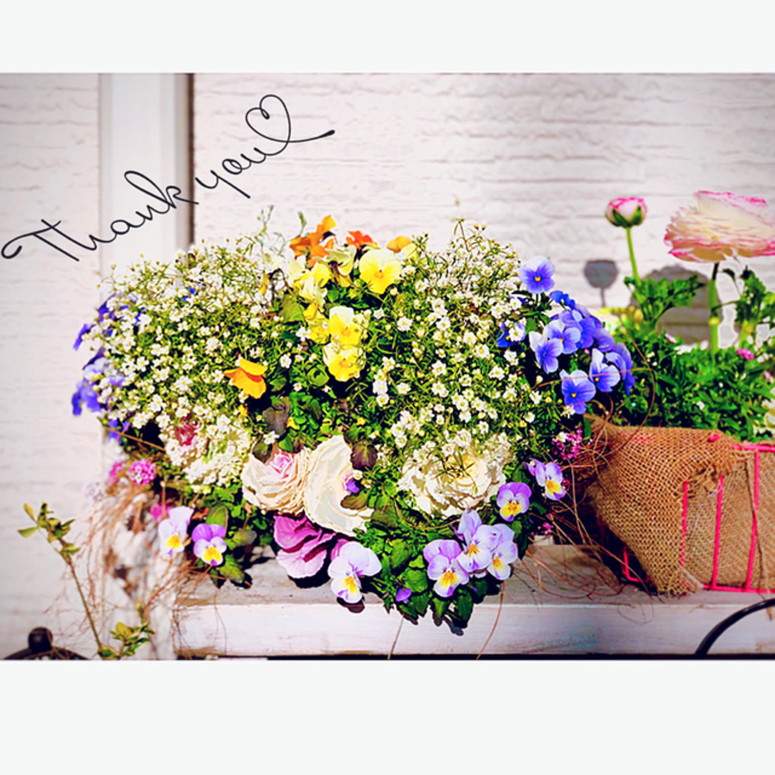 寄せ植え花　ユニヴェール　スリット鉢植え 寄せ植え スリット鉢のおすすめ商品とおしゃれな実例 ｜ RoomClip