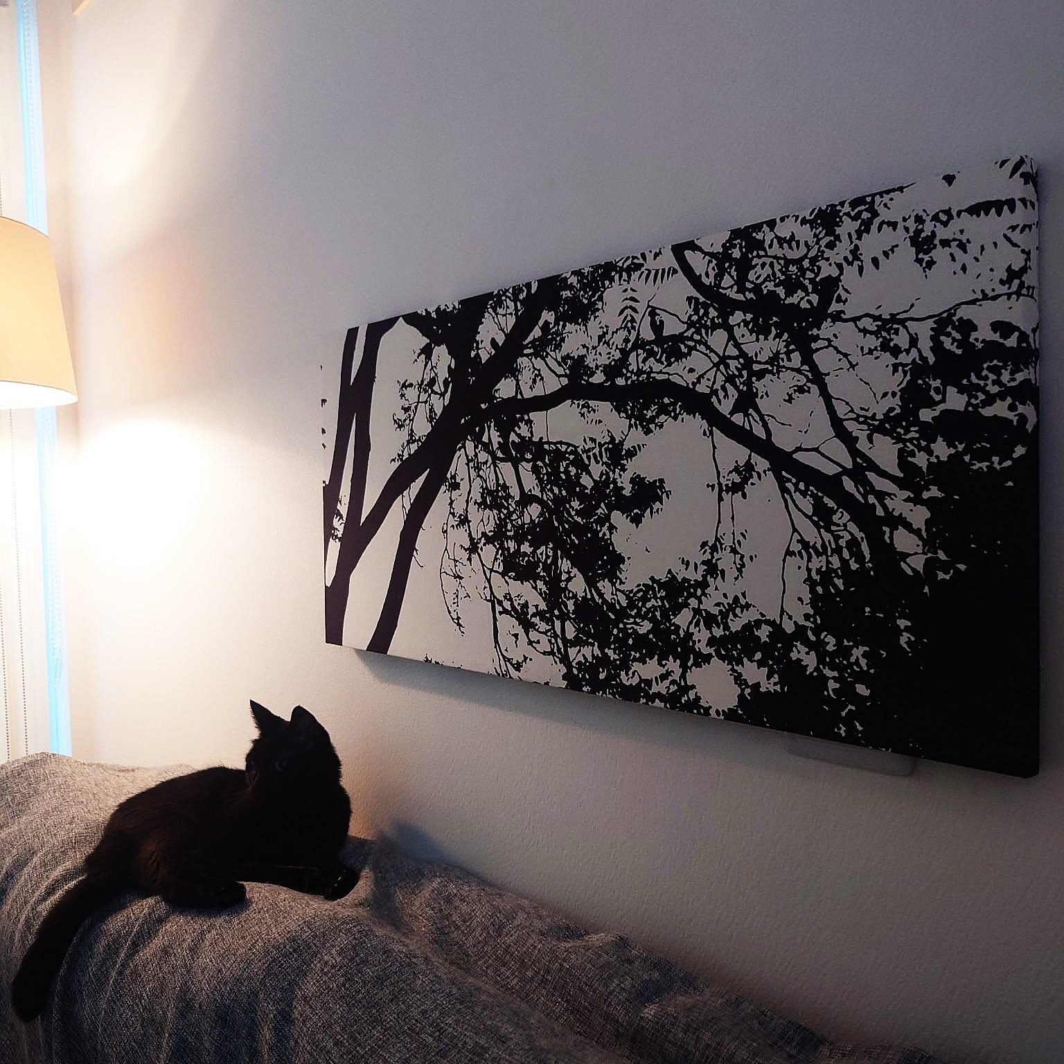 ファブリックパネル マリメッコ TUULIのおすすめ商品とおしゃれな実例