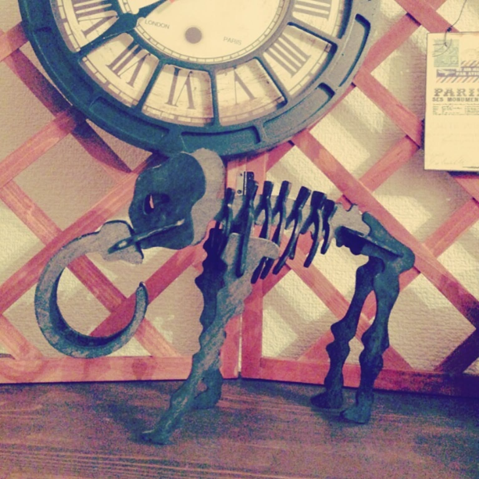 アンティーク 骨格標本のおしゃれなアレンジ・飾り方のインテリア実例