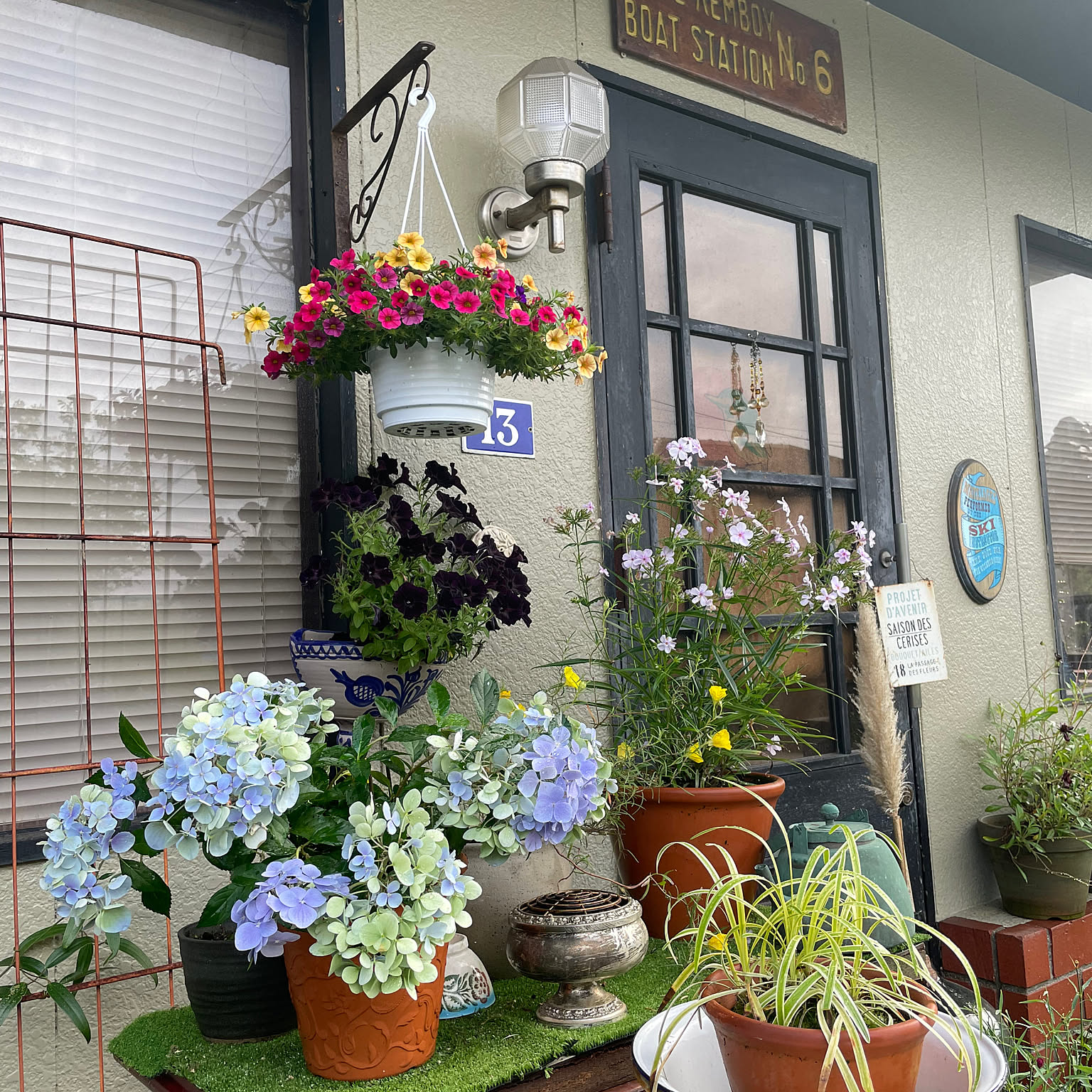 玄関/入り口 紫陽花鉢植えのおすすめ商品とおしゃれな実例 ｜ RoomClip
