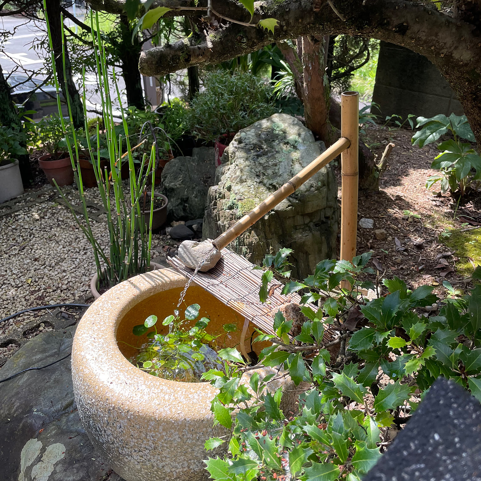 4b1fbd13b34d50c0df55d861a0b0fd