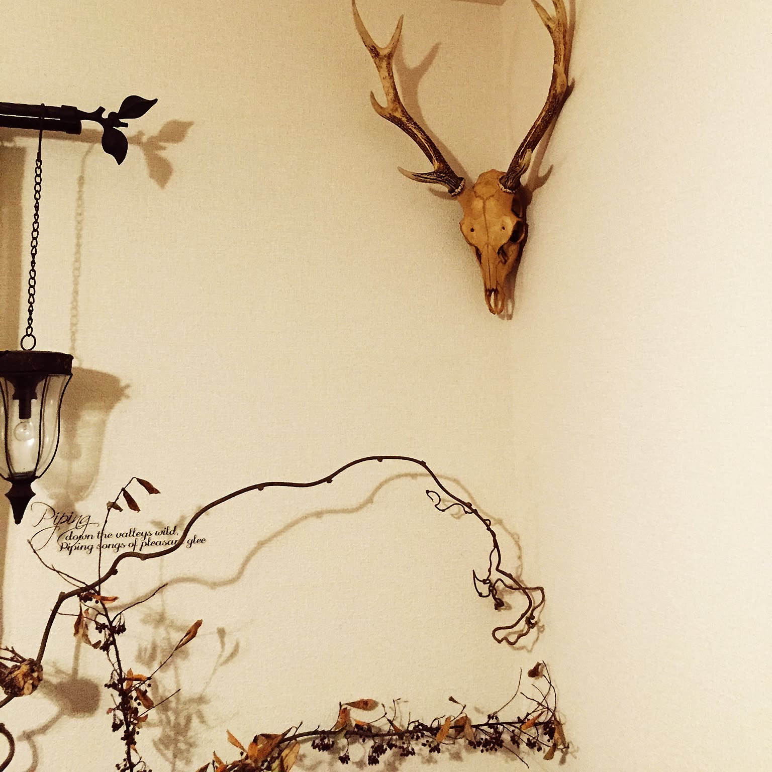 鹿の骨のインテリア実例 ｜ RoomClip（ルームクリップ）