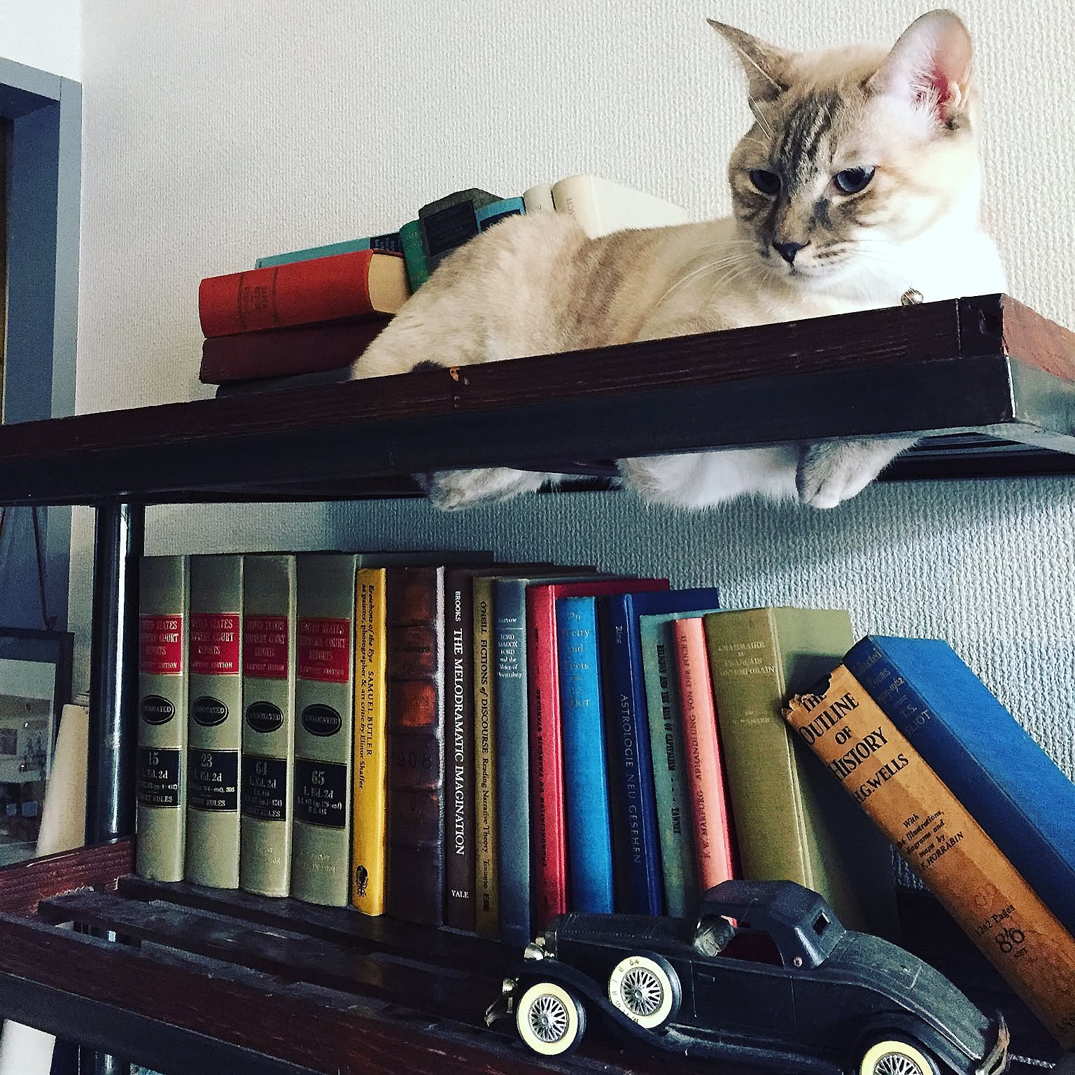 ジャーナルスタンダードファニチャー　アイアンラック レトロなインダストリアル感が堪りません！ジャーナルスタンダードの