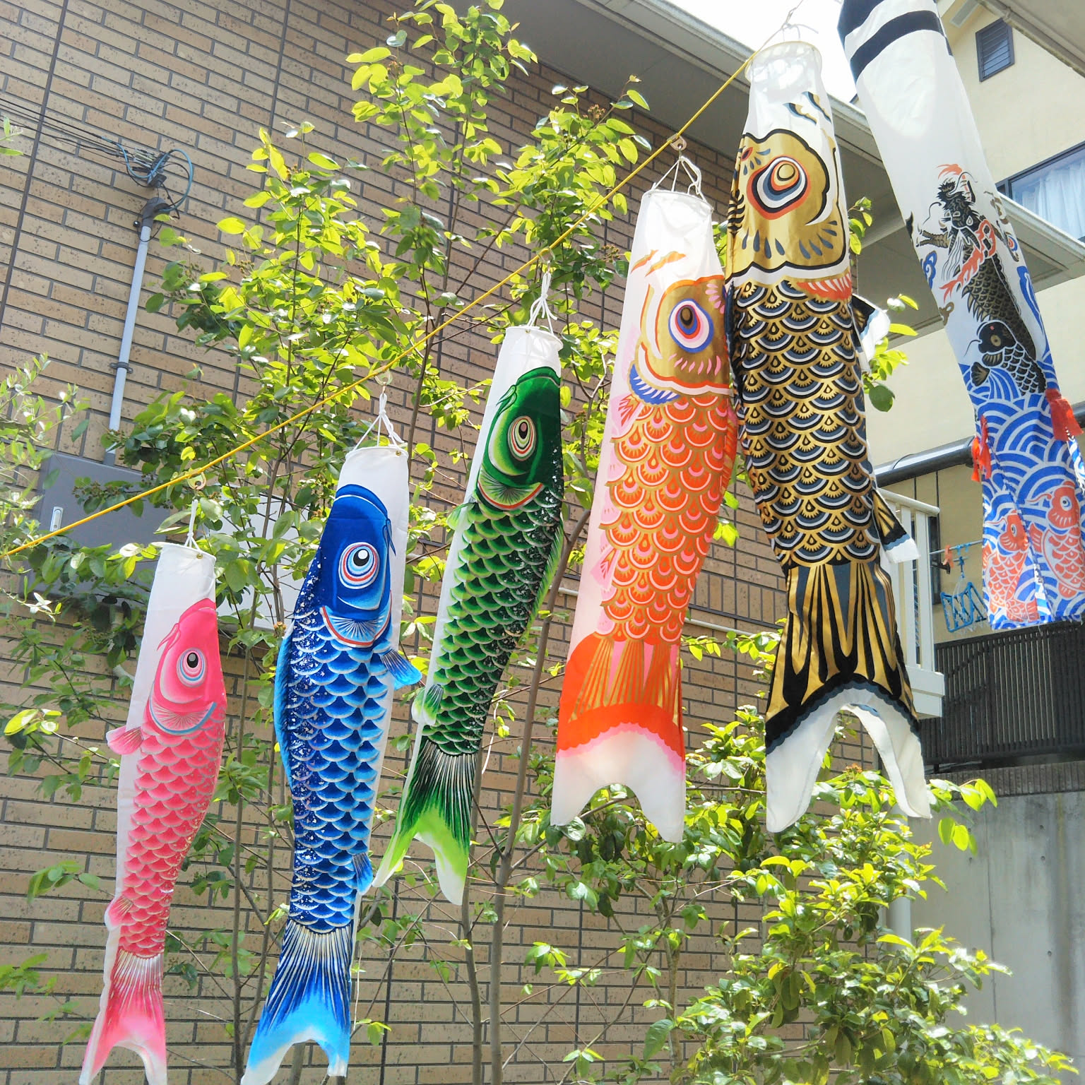 値下げ！【新品】福引きの鯉 リビングルーム装飾画 玄関装飾画R3 楽天市場】A061818リビングルーム装飾画 ．玄関装飾画 現代