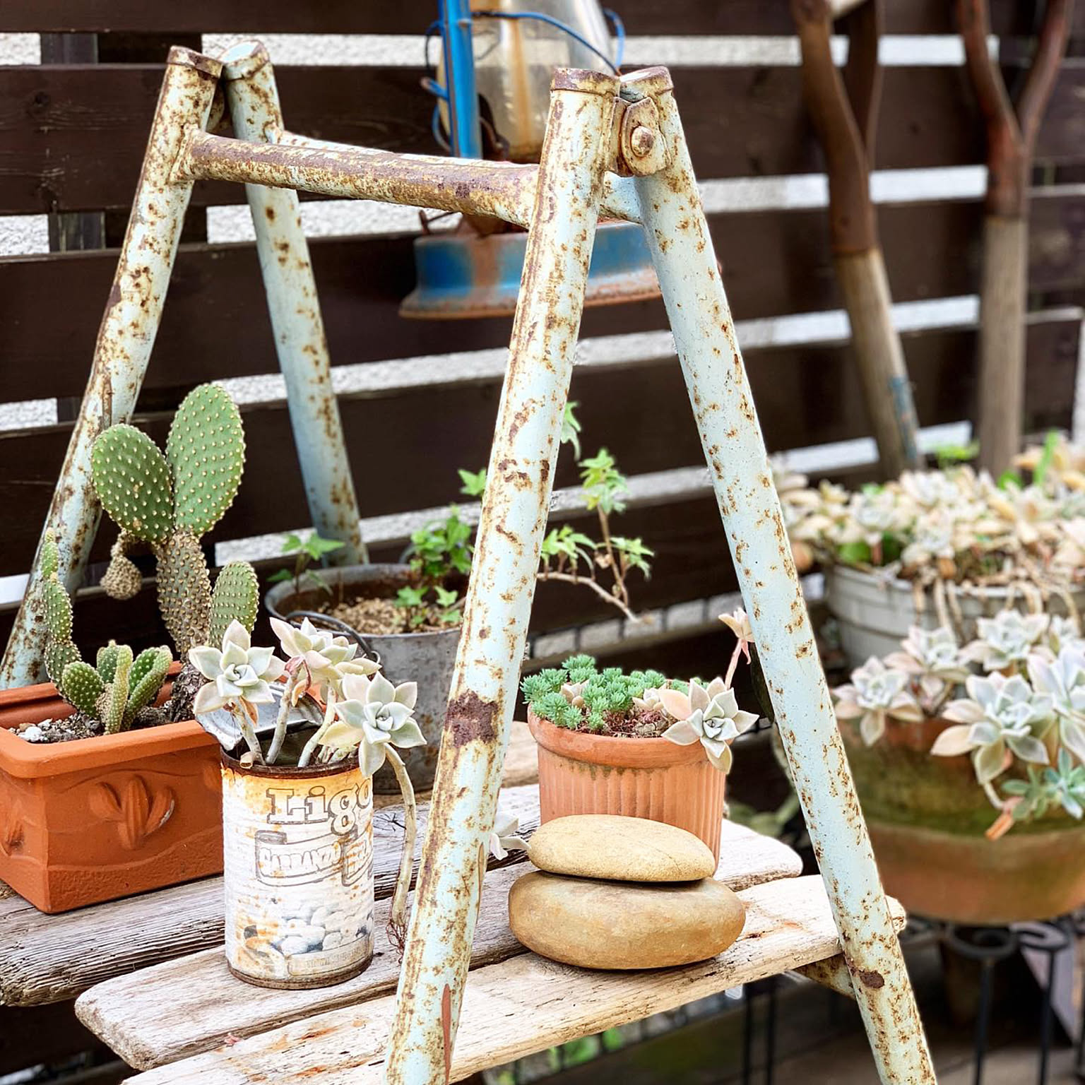 流木インテリア ラダー シャビー ba4c3dae0d3347e962cf0775f5ceaf