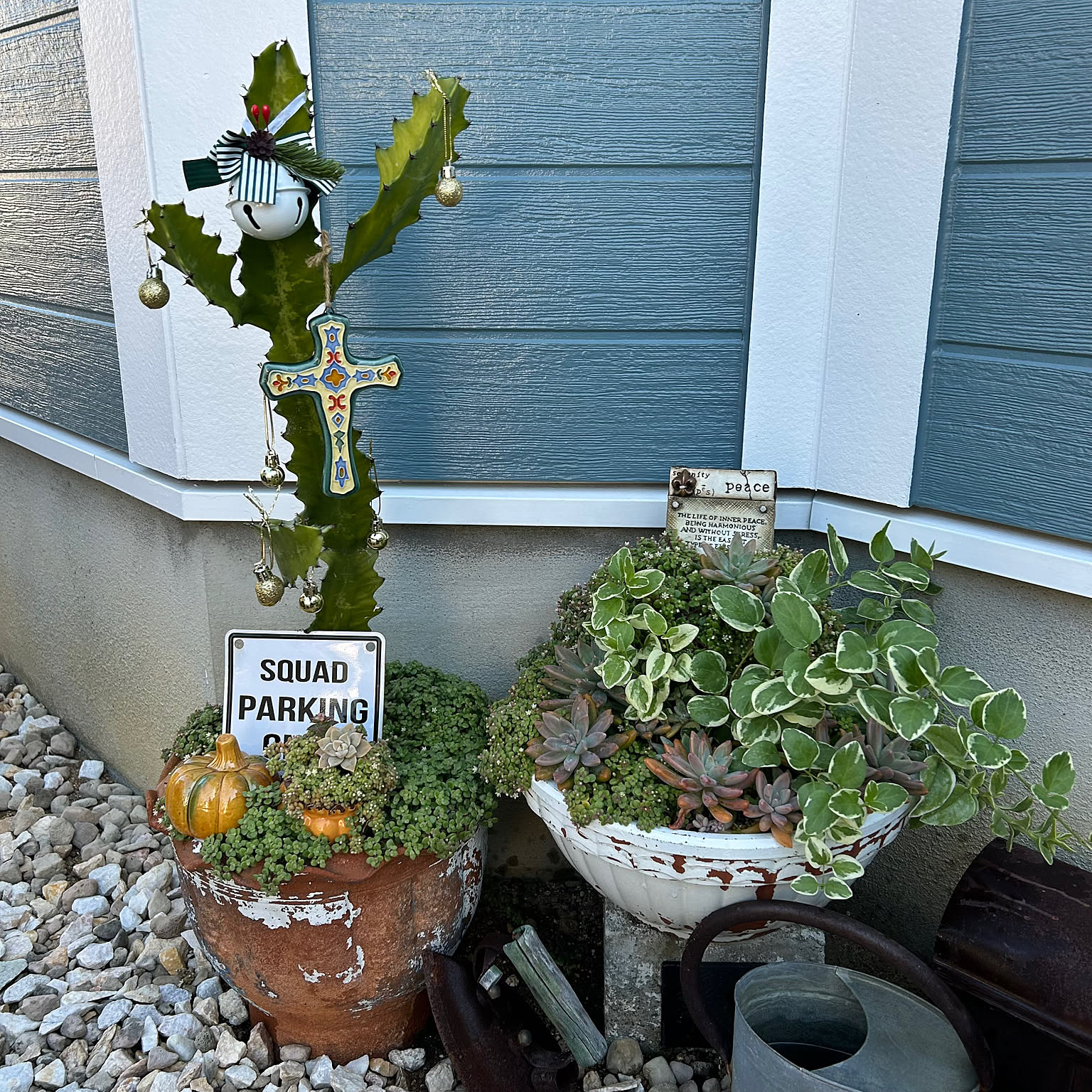 サボテンクリスマスツリーのおすすめ商品とおしゃれな実例 ｜ RoomClip