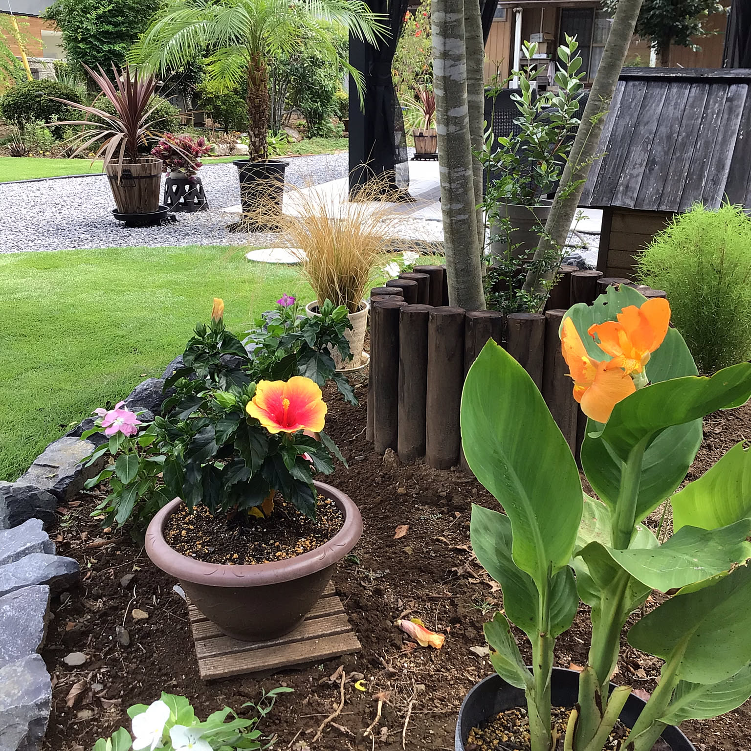 花/夏の花/庭/カンナ/ハイビスカスなどのインテリア実例