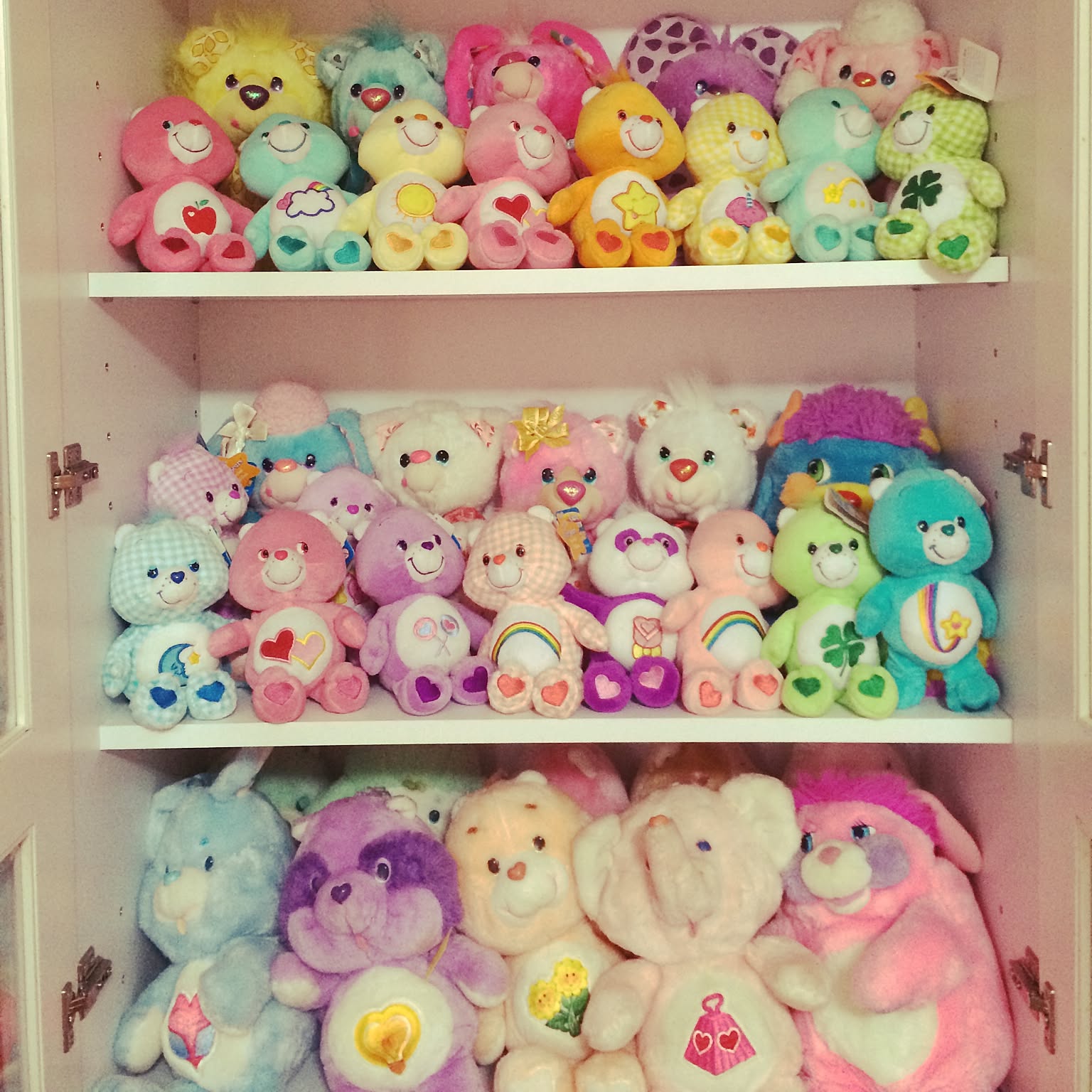 棚/CareBears/toys/ぬいぐるみ/ケアベアなどのインテリア実例