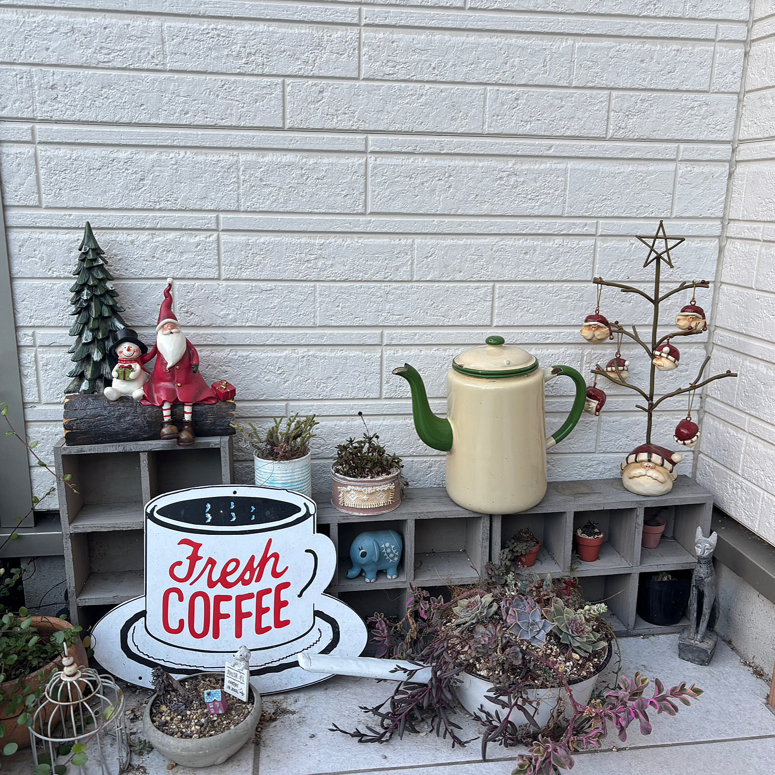 多肉植物 コーヒーカップのおすすめ商品とおしゃれな実例 ｜ RoomClip