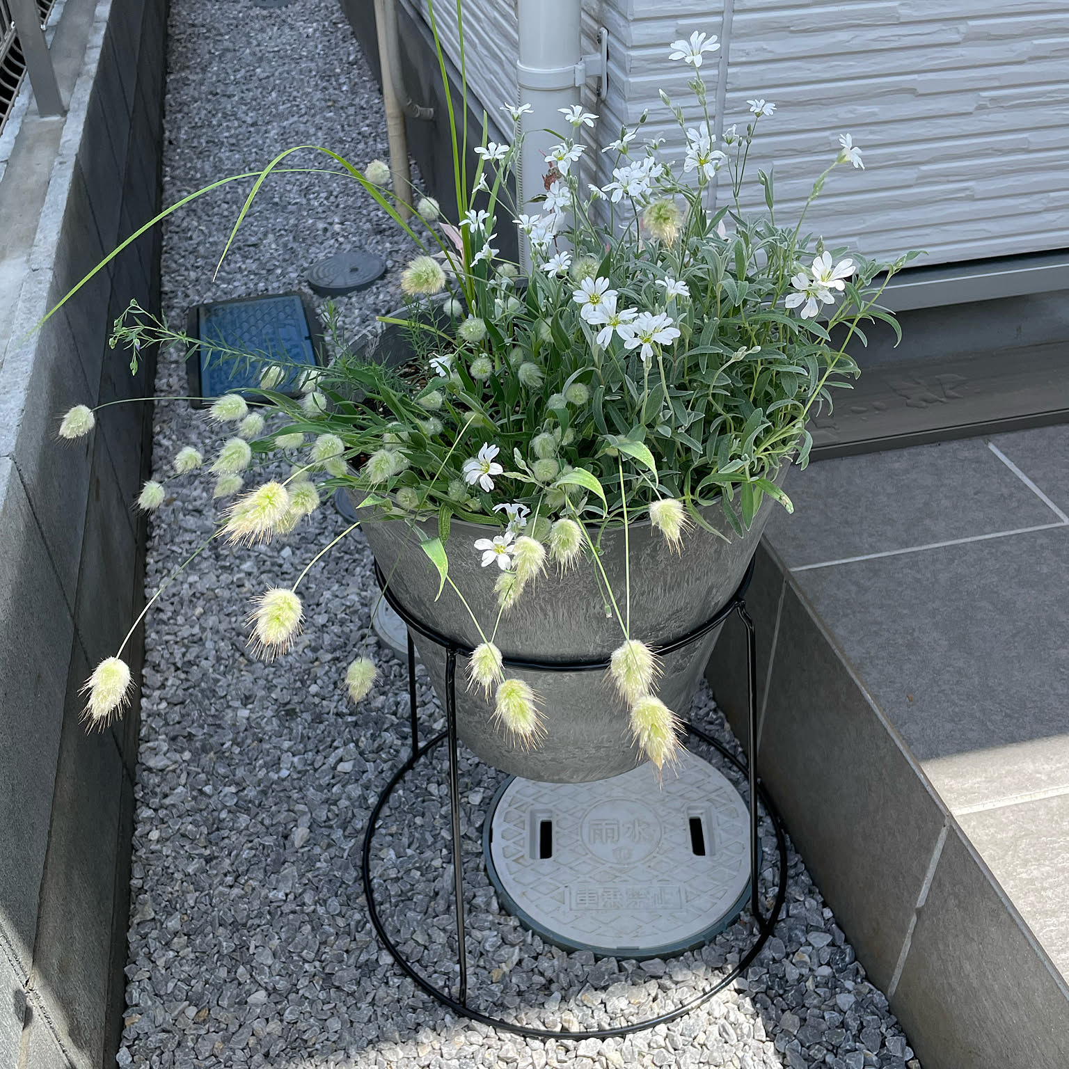 植木鉢／玄関先(ポーチ)に ／おしゃれガーデン作り／華やかさ必見 50cd8e74ae85c623b8d07606103de6