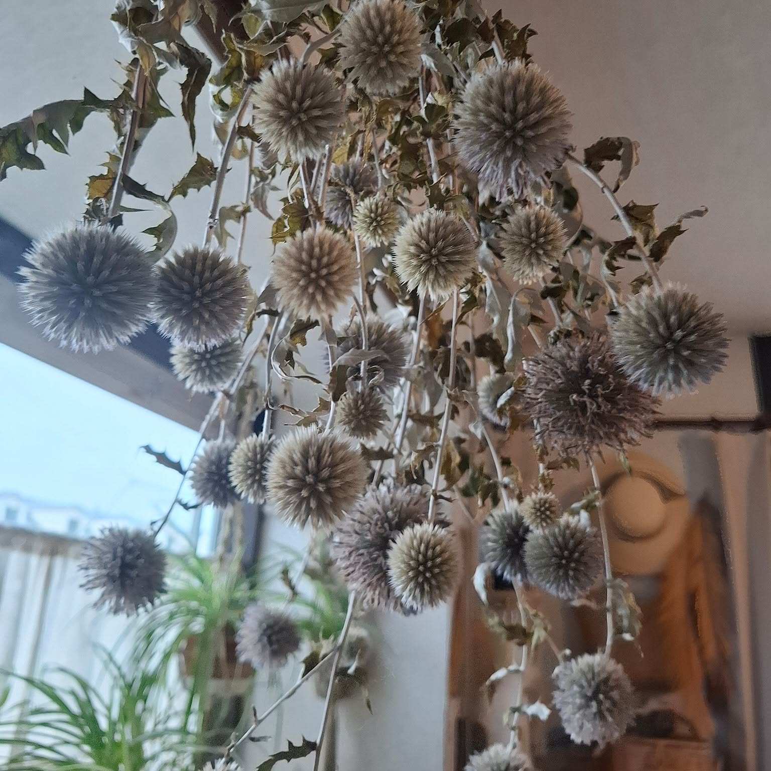 51340db7696a3c6b99bb4099817624