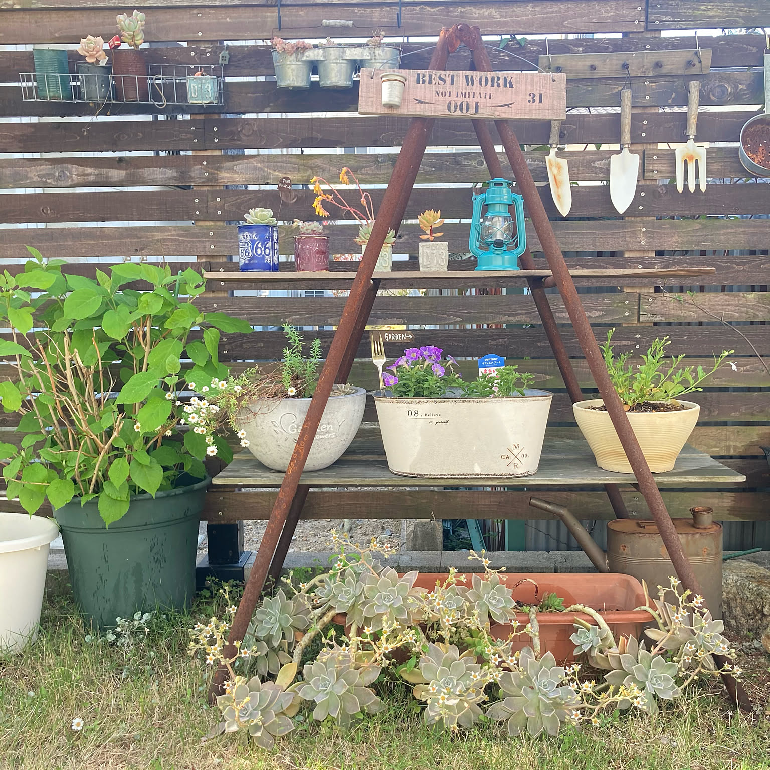 5204910f6f24bf7b2a7490aeb00f85