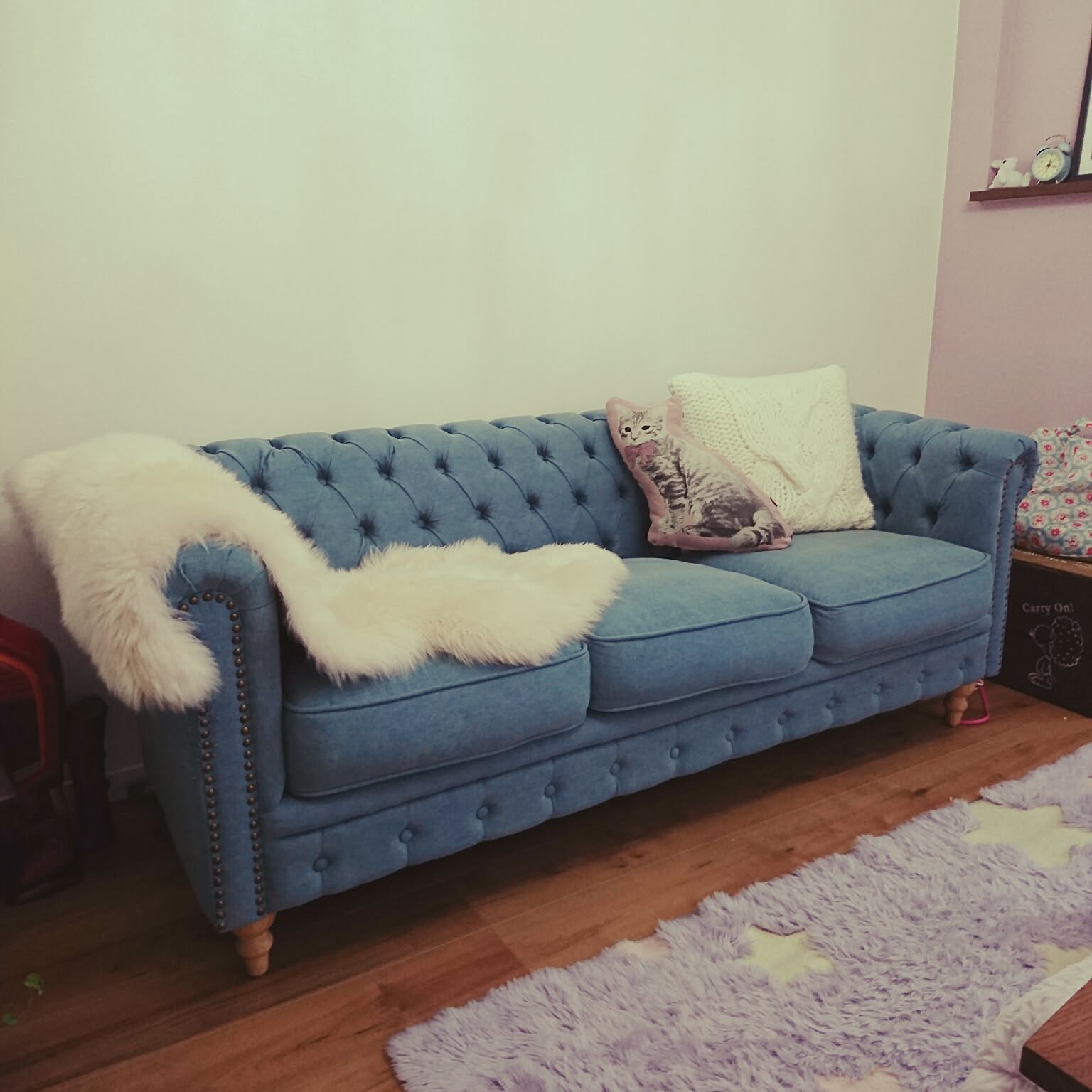 猫 デニムソファのおすすめ商品とおしゃれな実例 ｜ RoomClip（ルーム