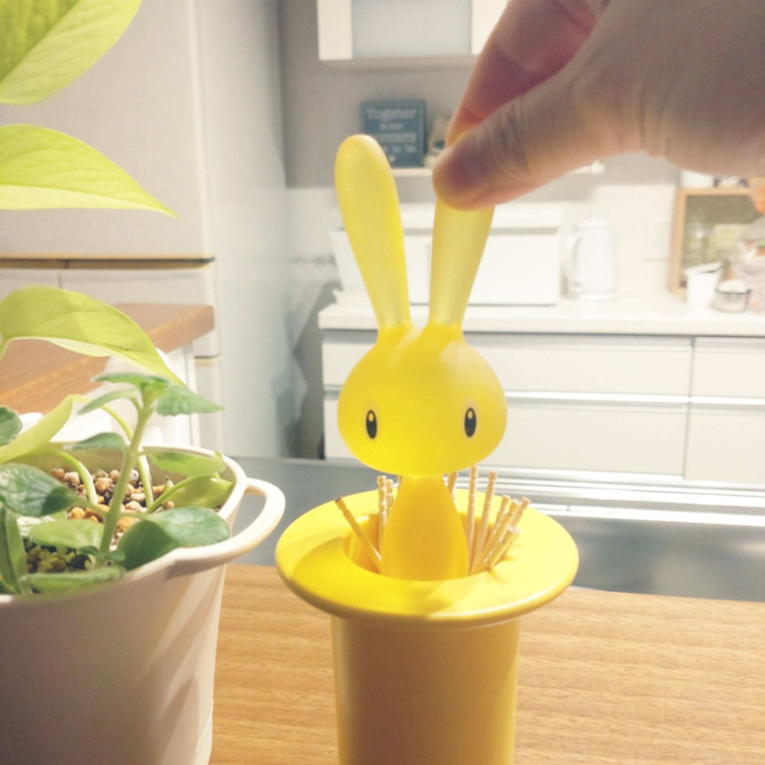 ALESSI 楊枝入れのインテリア実例 ｜ RoomClip（ルームクリップ）
