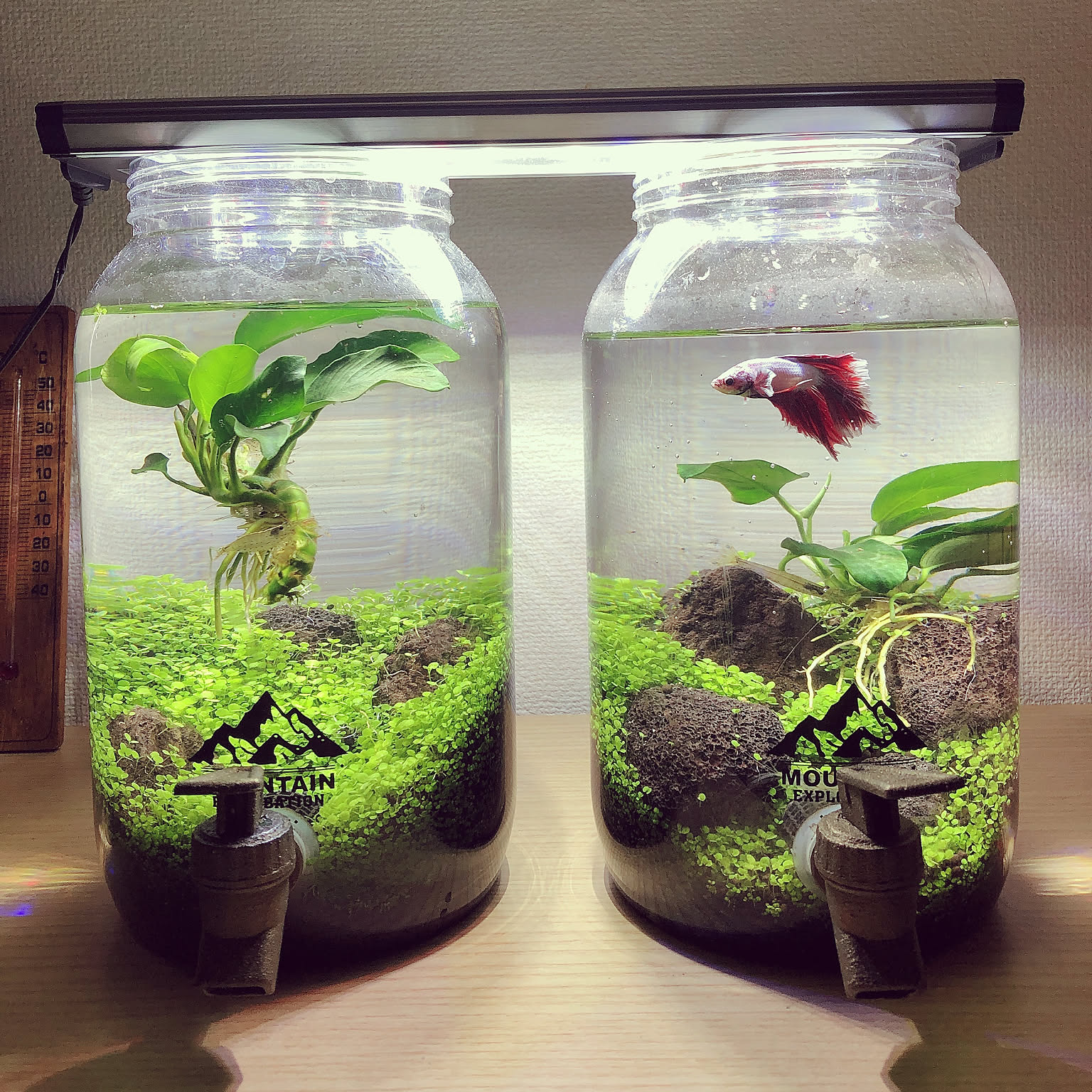 りぜ様 水槽保温カバー セーフカバー オートヒーター120 | ジェックス