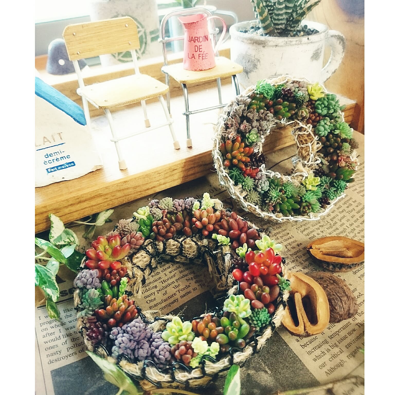 多肉寄せ植え リース土台手作り♪のおすすめ商品とおしゃれな実例