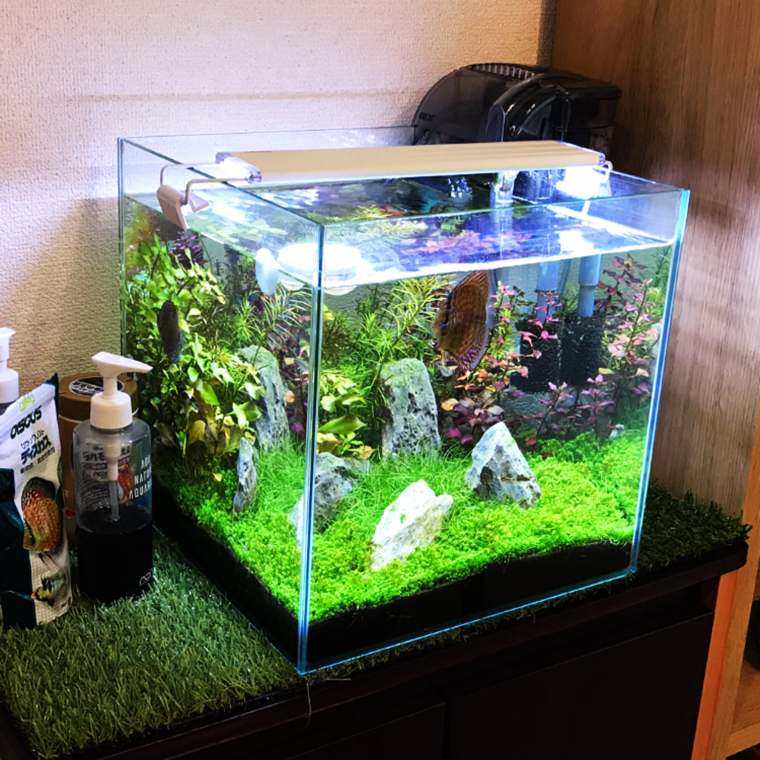 アクアリウム 90cm水槽のおすすめ商品とおしゃれな実例 アクアリウム 90cm水槽のおすすめ商品とおしゃれな実例