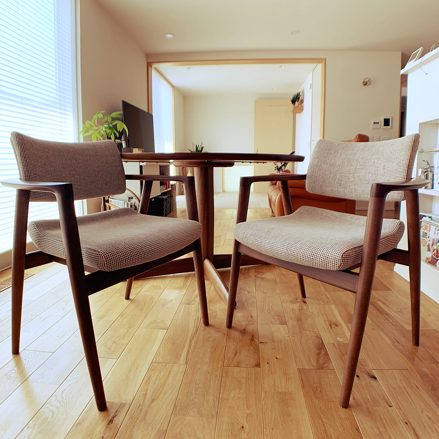 アート185　「カンブリア」　インテリアコーディネート アート185 「カンブリア」 インテリアコーディネート