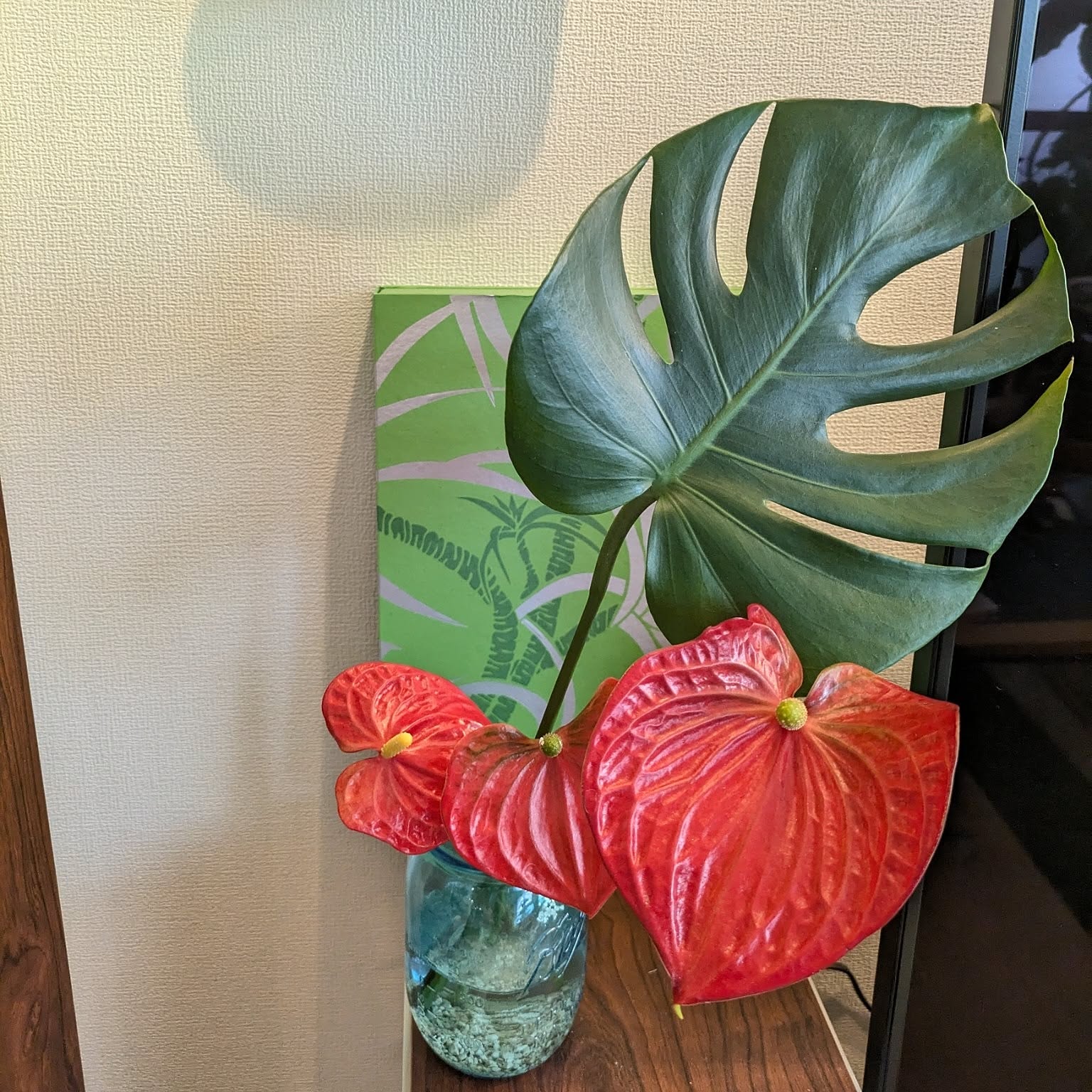 upbotanです♪3点セット！アンスリウム2 カラー2 モンステラ 5595153708f5b871596e6a79005545