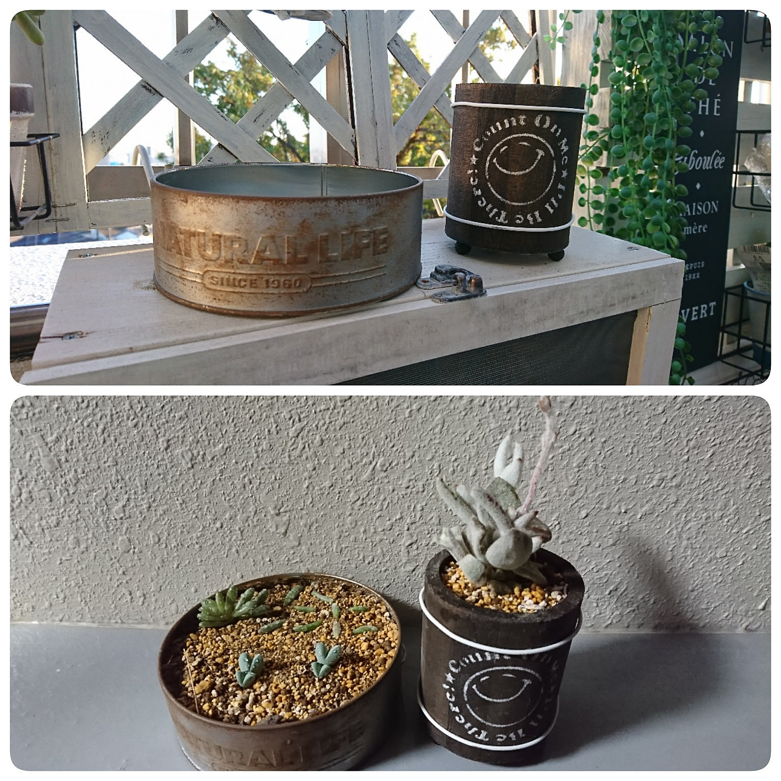 55daa41e7d5c452c5c1a7b2c0fd88b