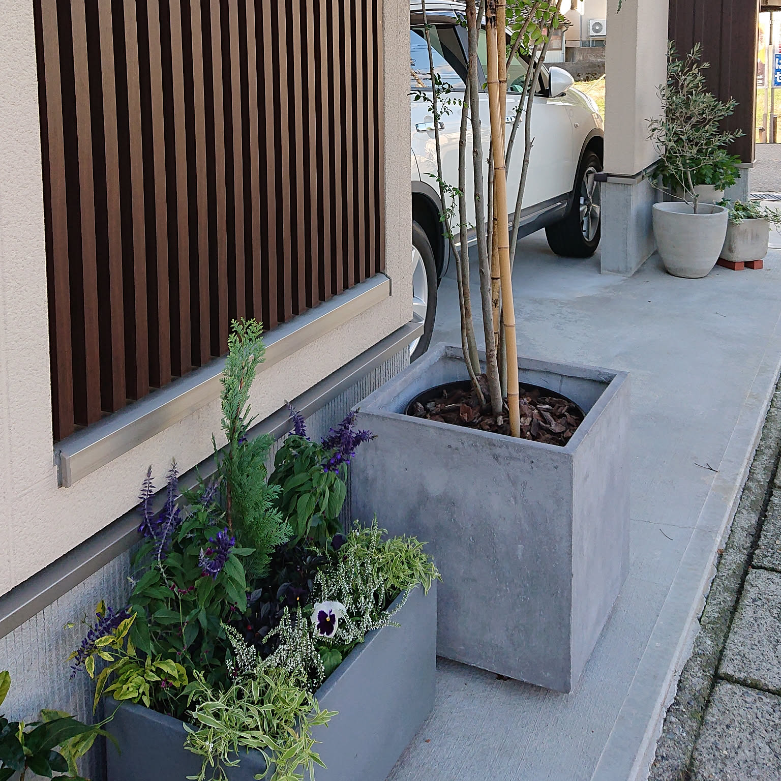 楽天市場】シマトネリコ 寄せ植え 140cm (フェイクグリーン 人工