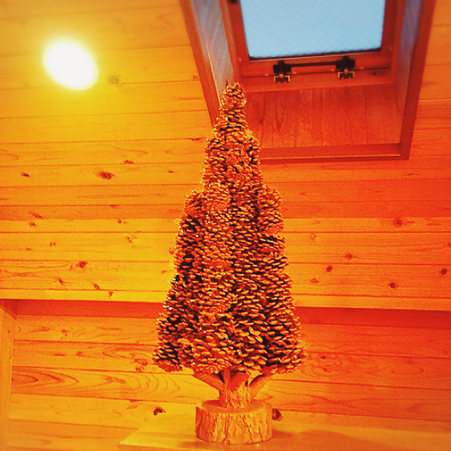 ワイヤーを使用したツリー✨/まつぼっくり♡/トップライト