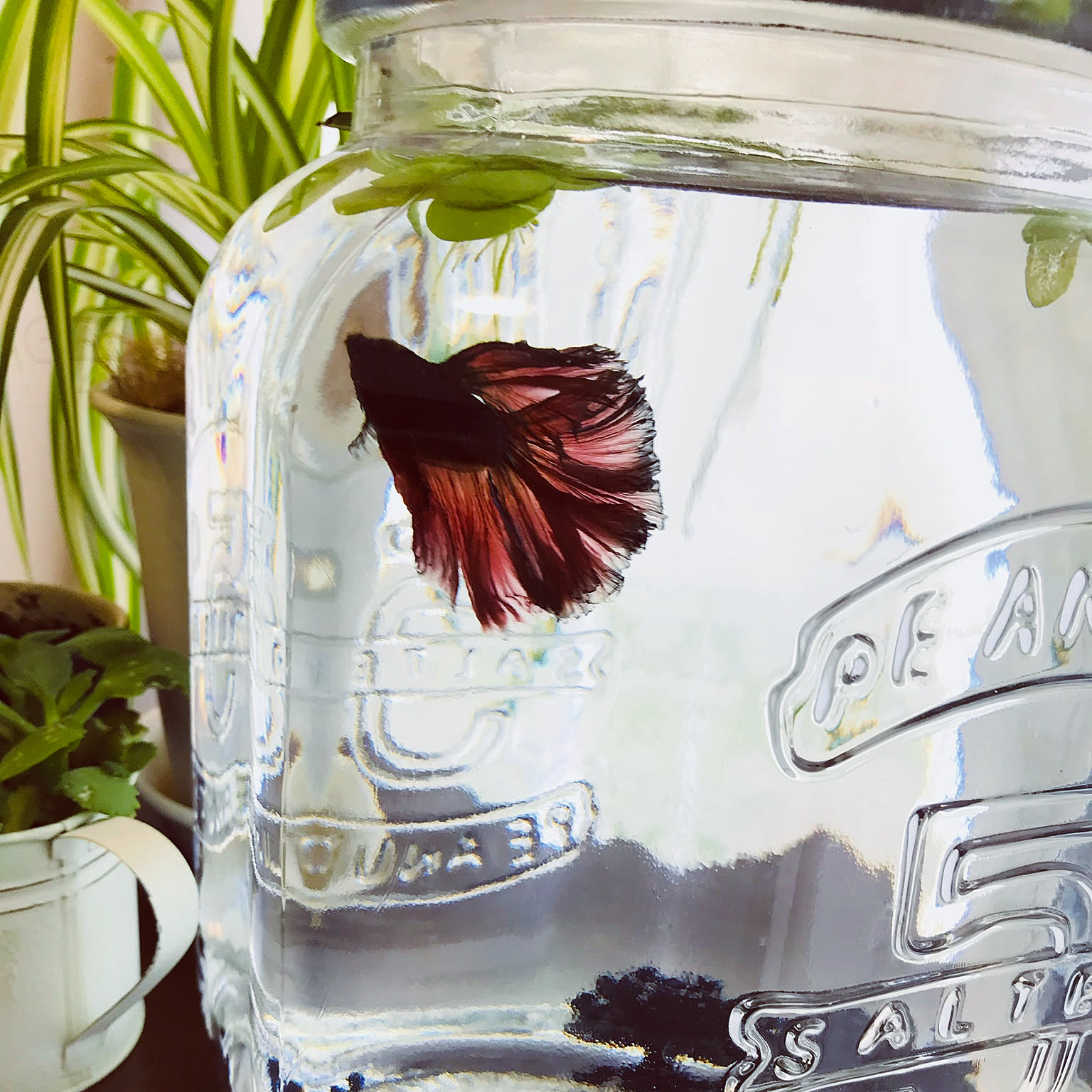 574b2df534897f48719553fd883e67