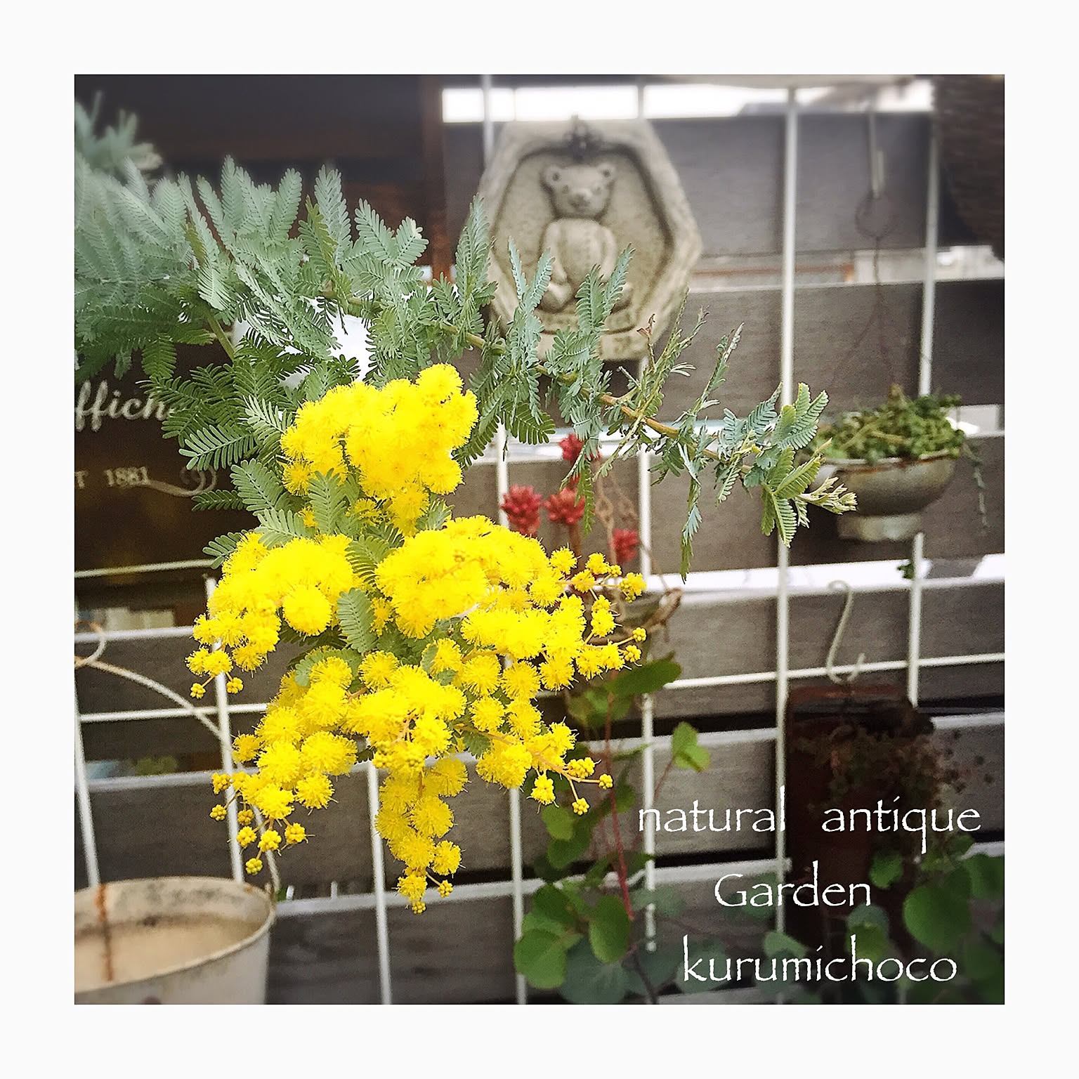 オダマキ新品未使用ワンダーデコールイヤープレート2006と2020 オダマキ様専用新品未使用ワンダーデコールイヤープレート2006と