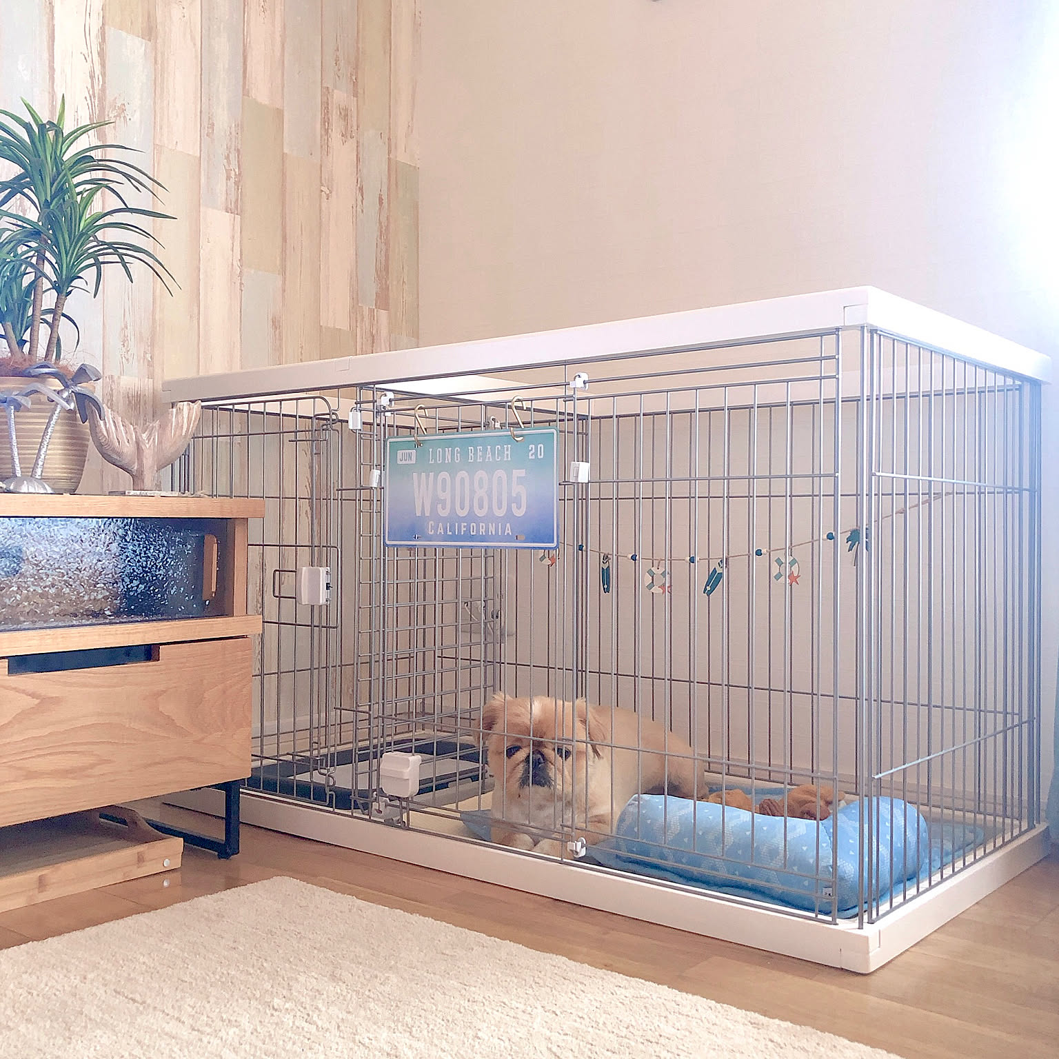 ニトリ 犬用ケージのおすすめ商品とおしゃれな実例 ｜ RoomClip