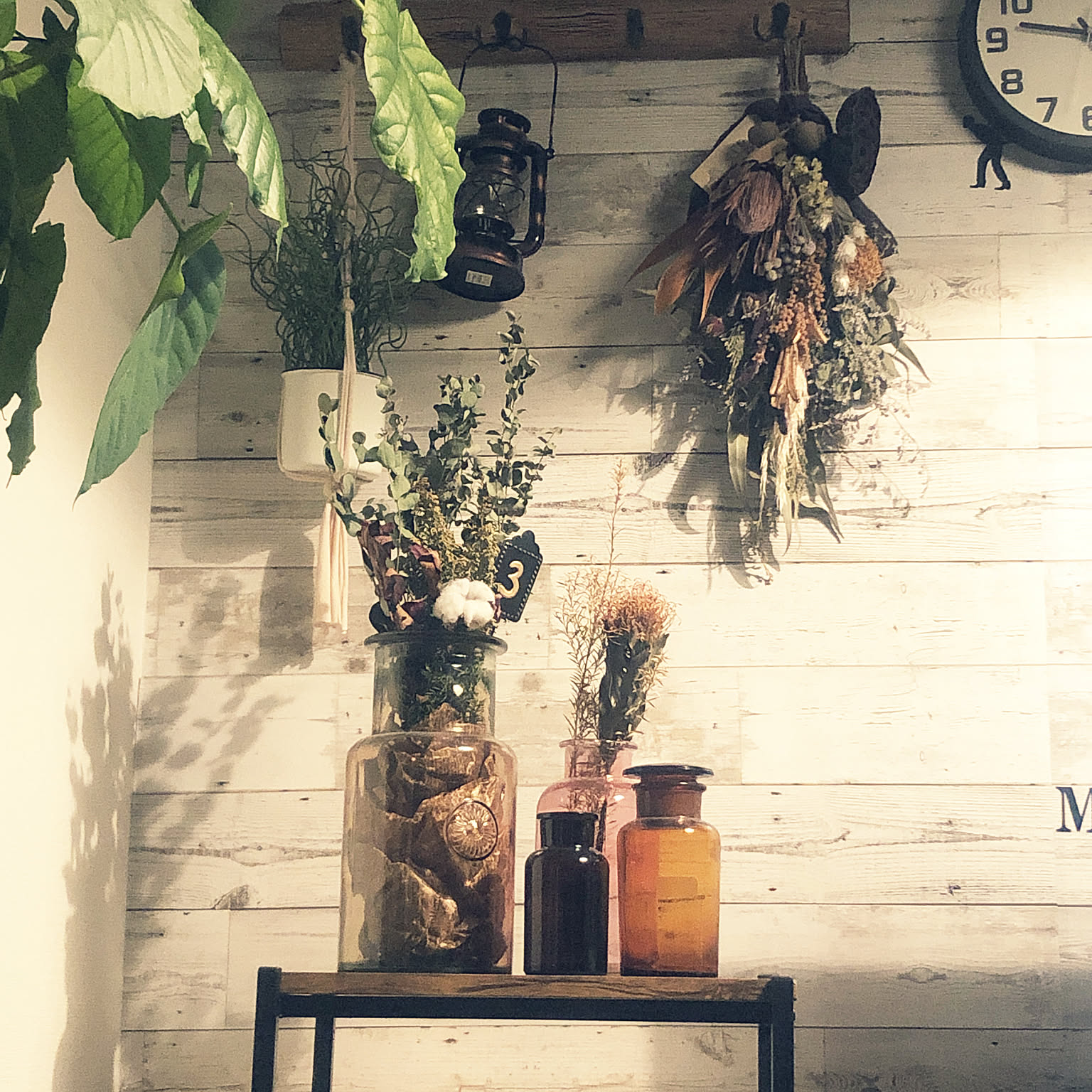 スワッグ 観葉植物のある暮らしのおすすめ商品とおしゃれな実例